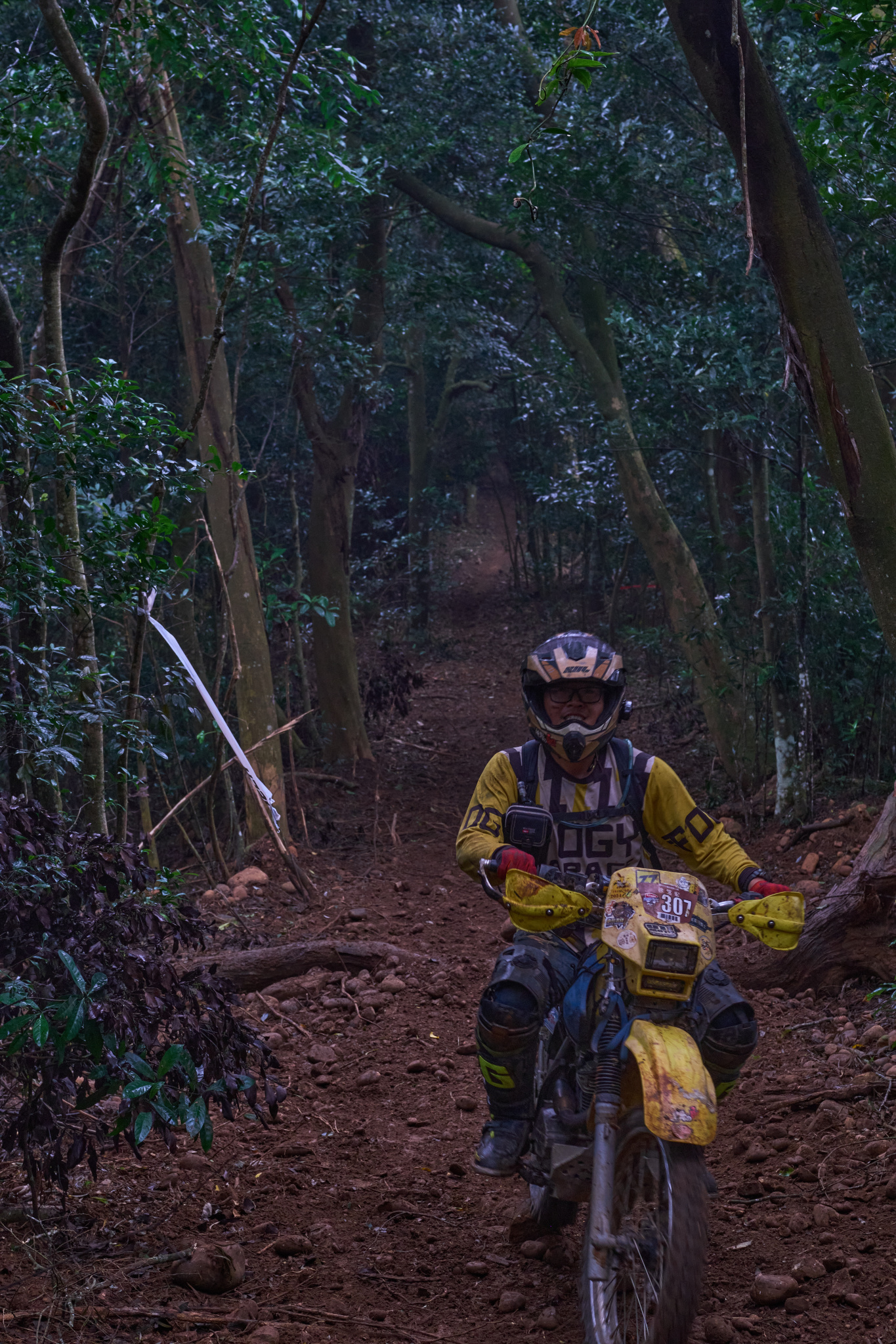 TORRA 三義 比賽 2024.11