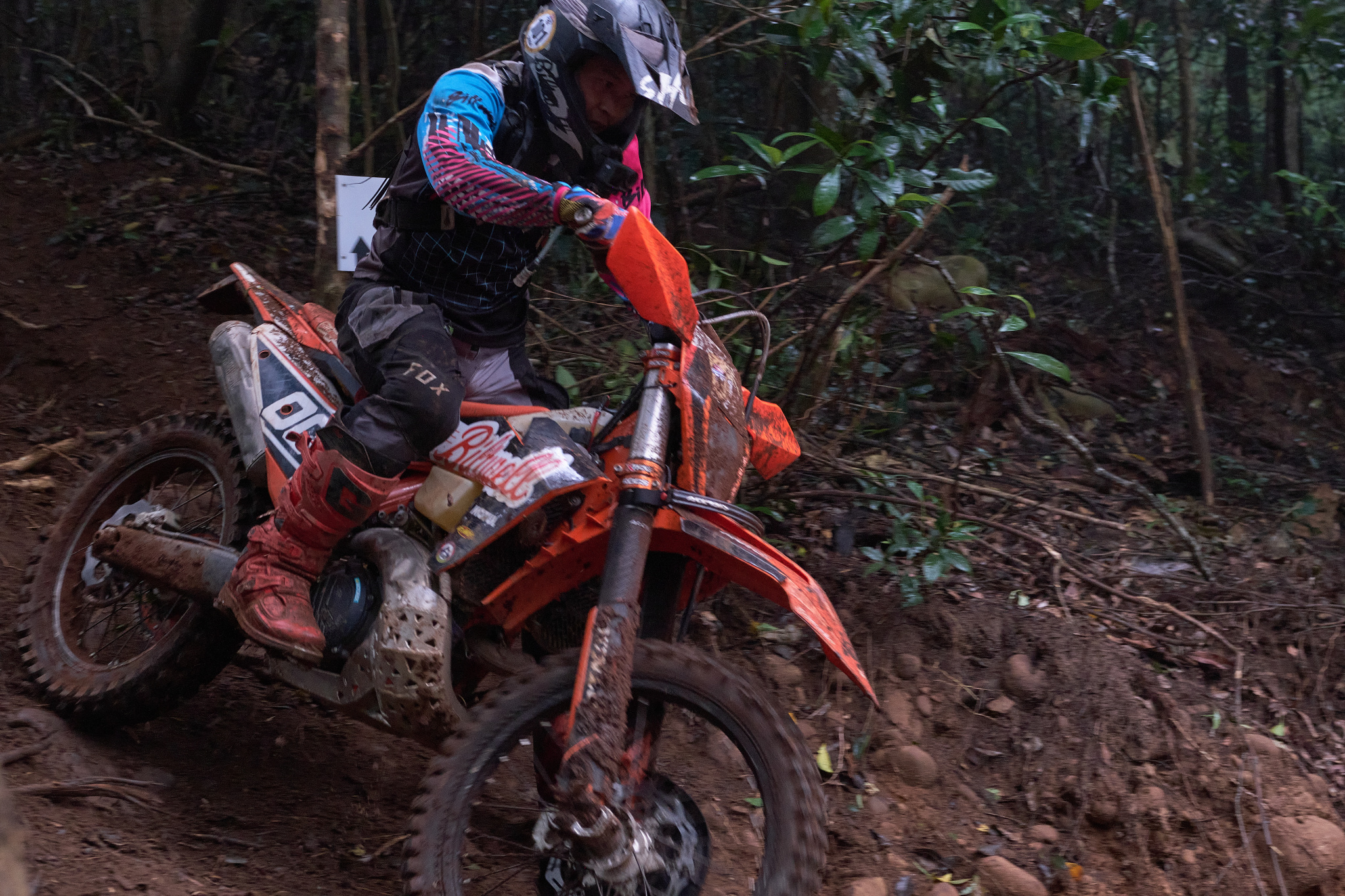 TORRA 三義 比賽 2024.11