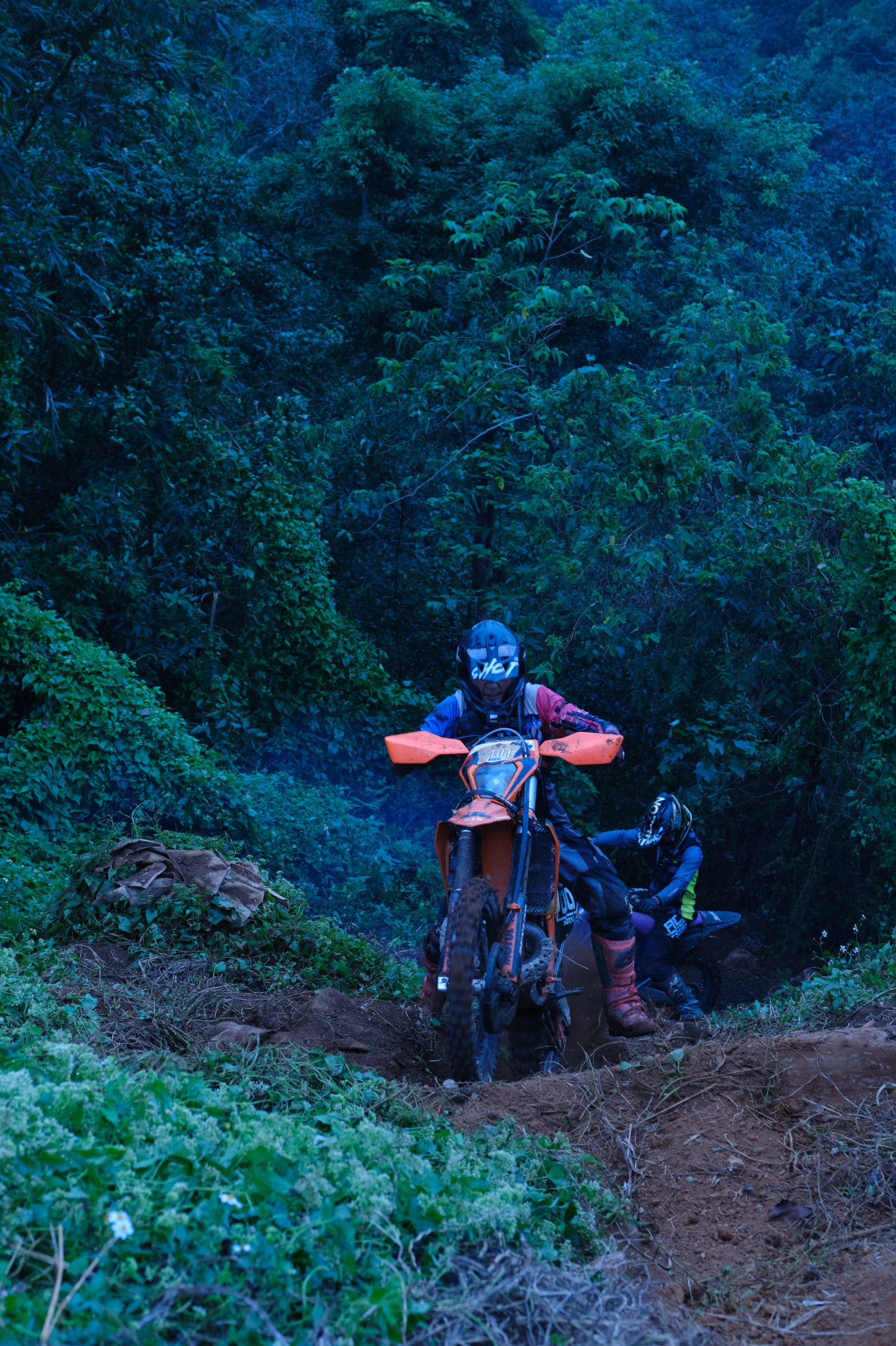 TORRA 三義 比賽 2024.11