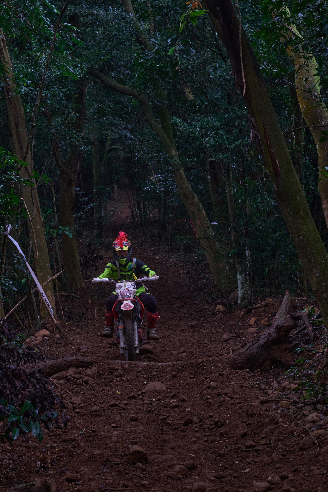 TORRA 三義 比賽 2024.11