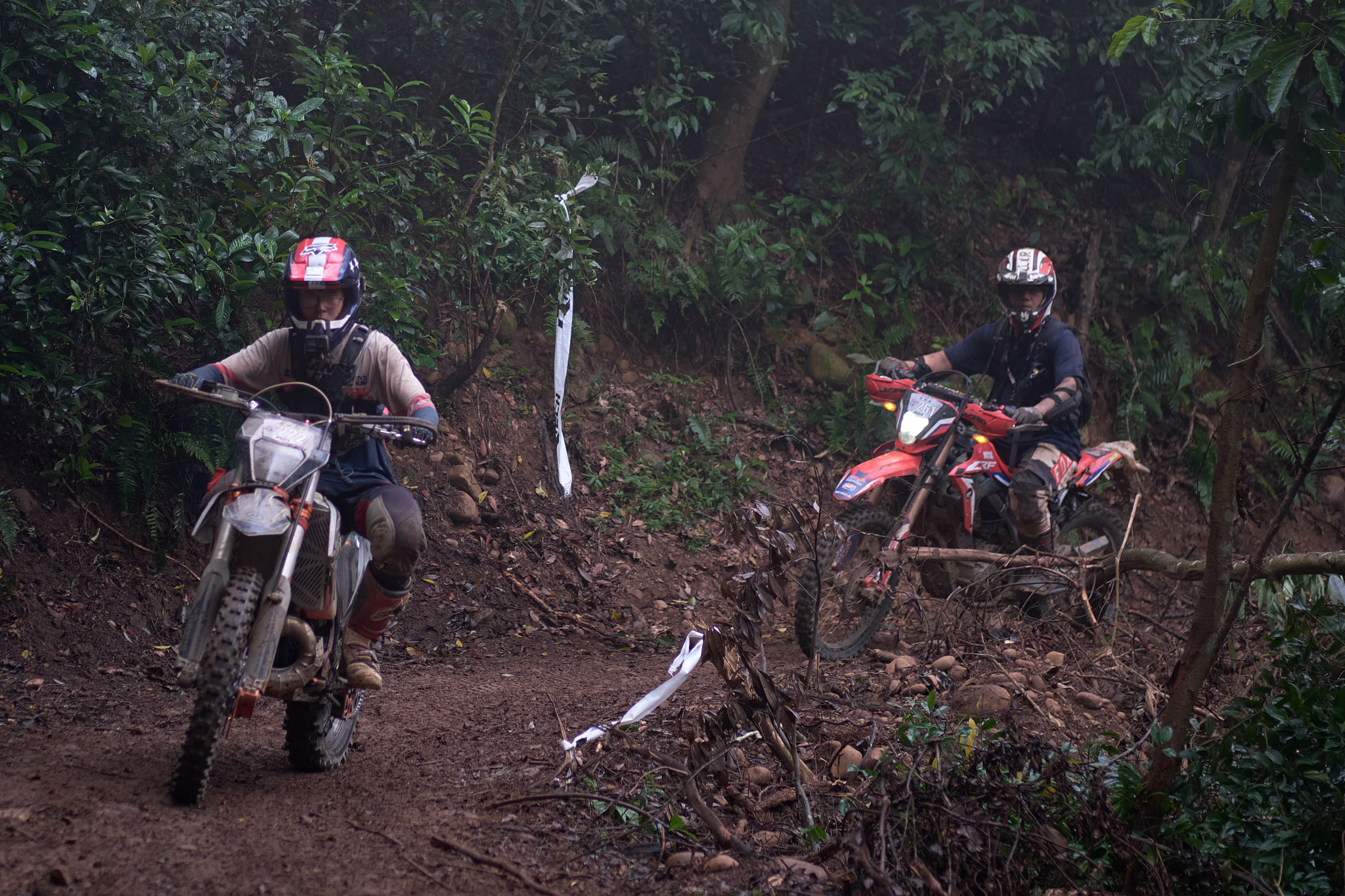 TORRA 三義 比賽 2024.11