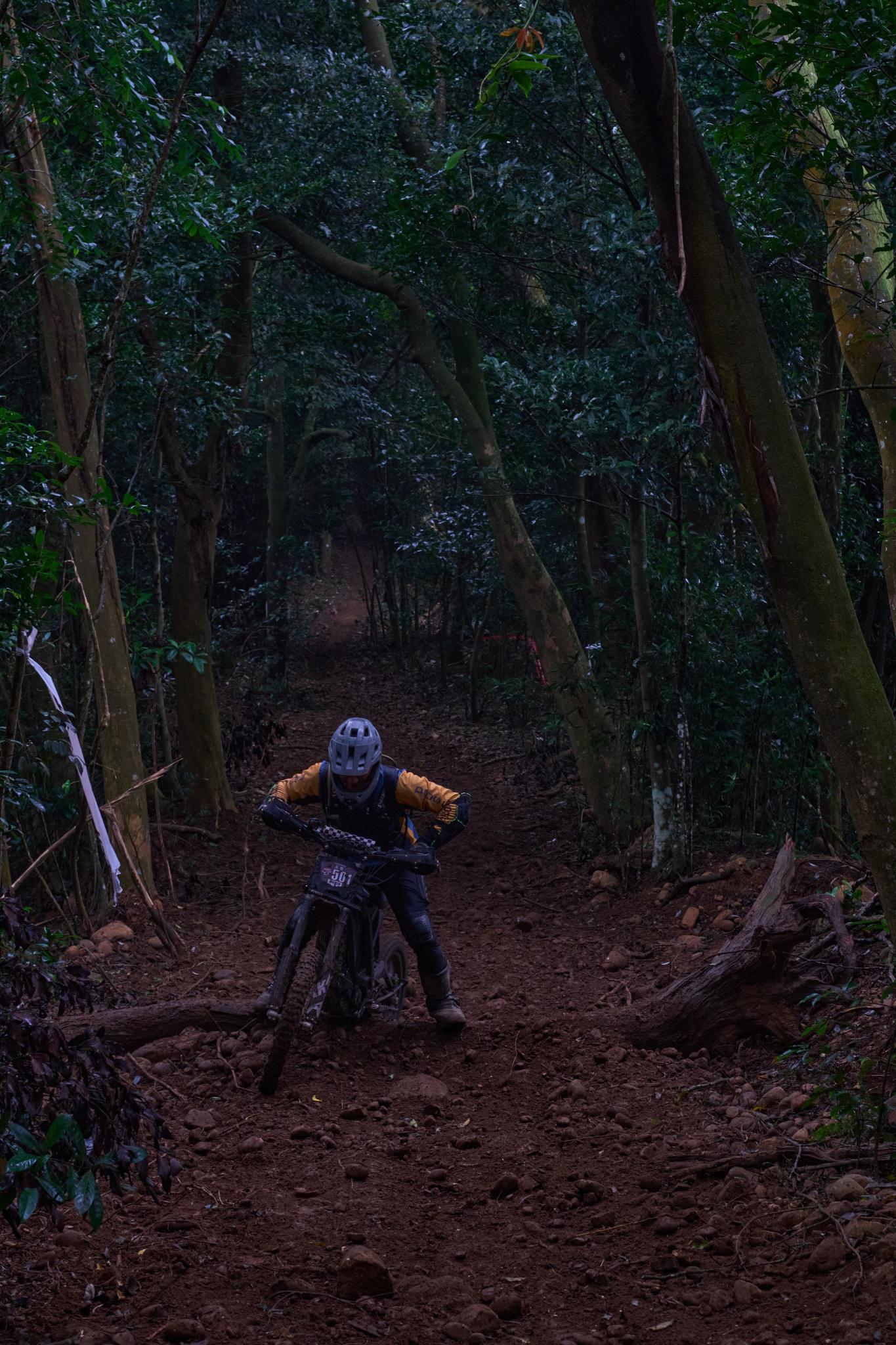 TORRA 三義 比賽 2024.11