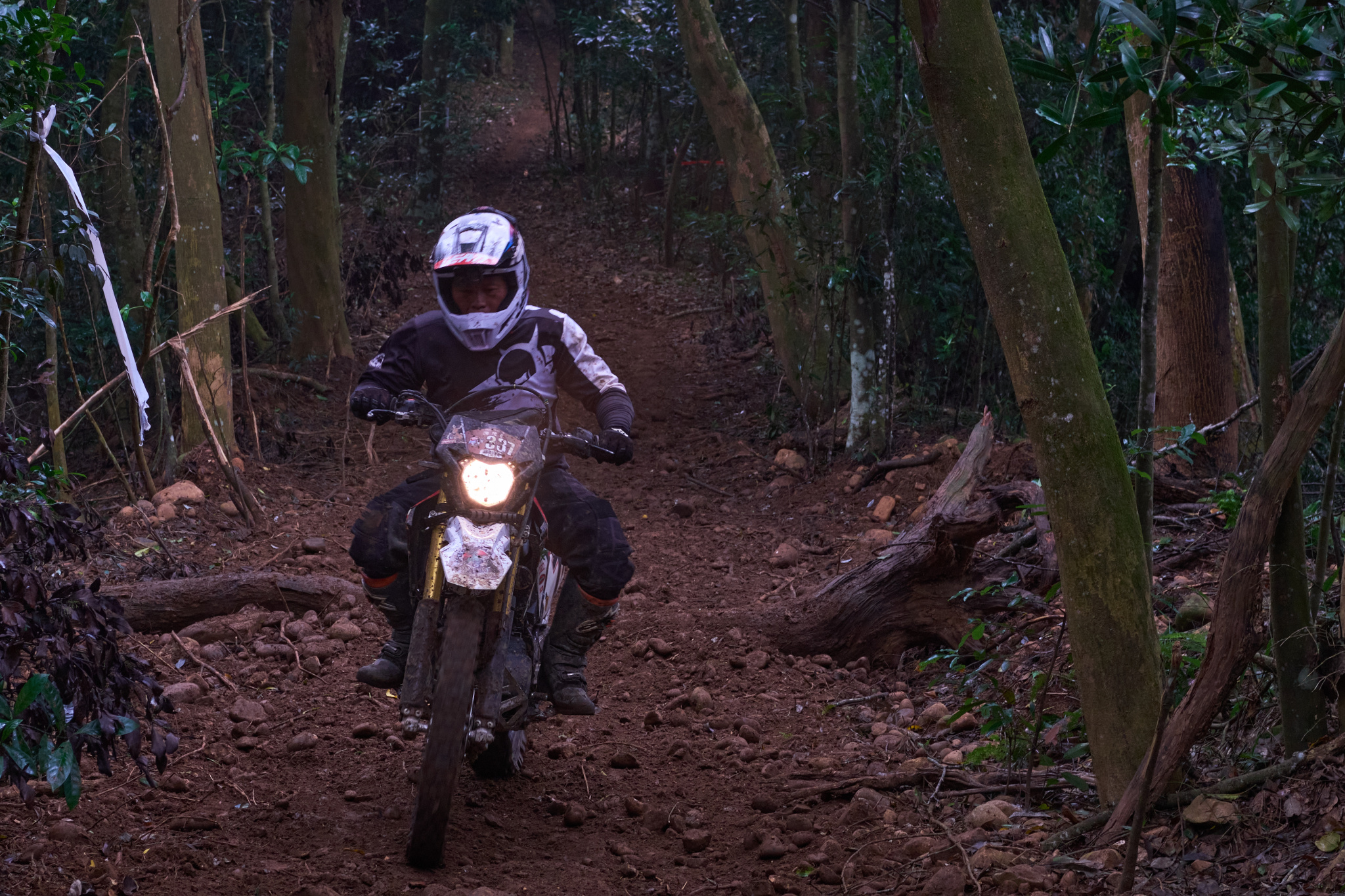 TORRA 三義 比賽 2024.11