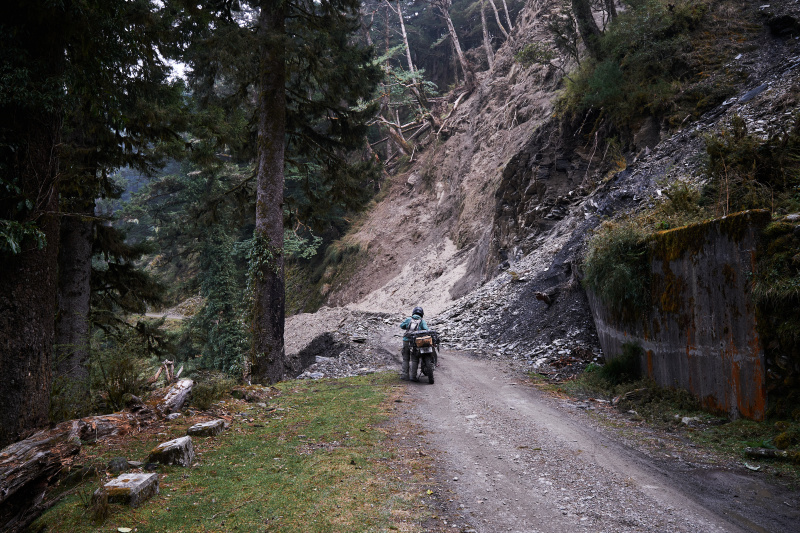 丹大林道 // Danda Forest Road