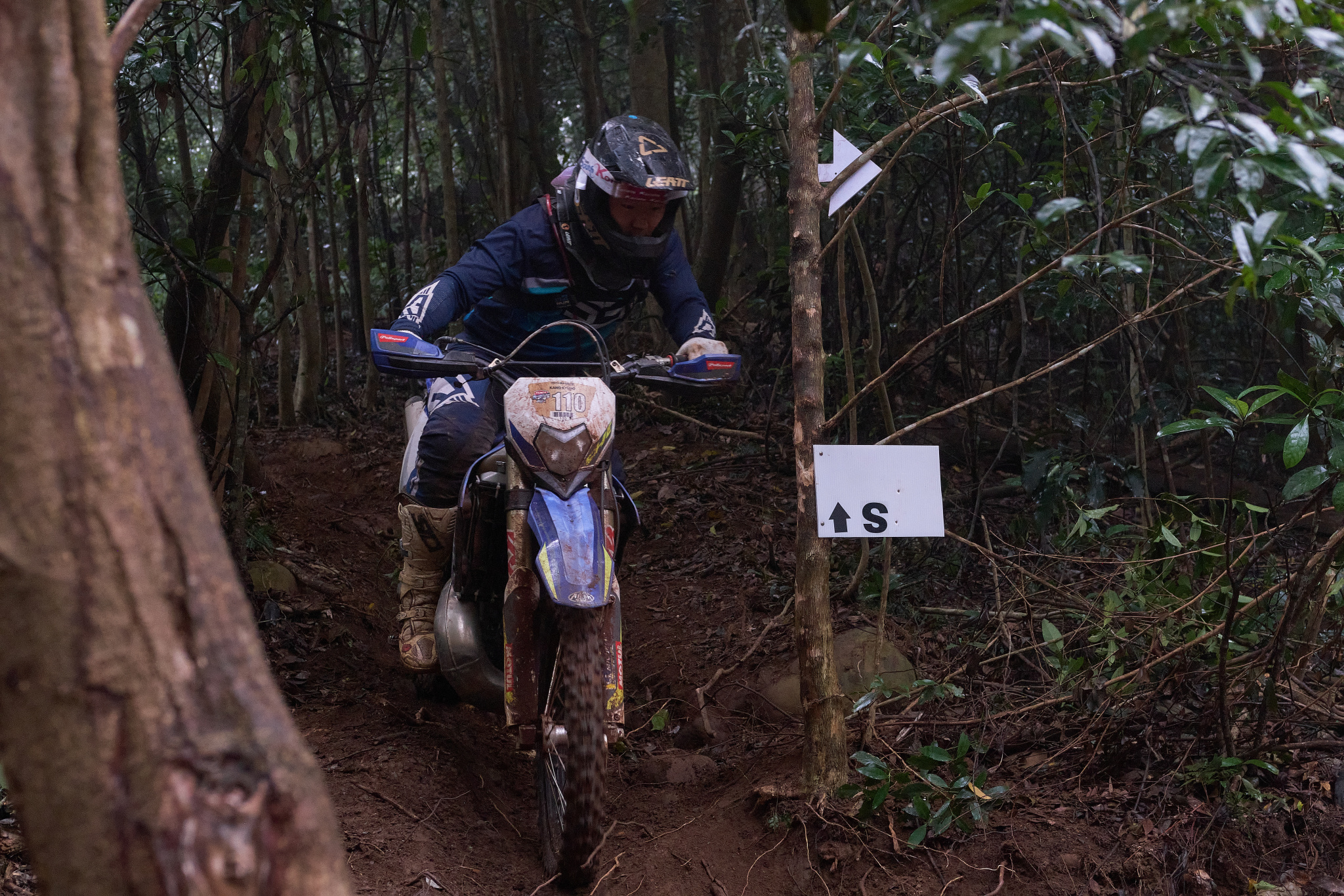 TORRA 三義 比賽 2024.11