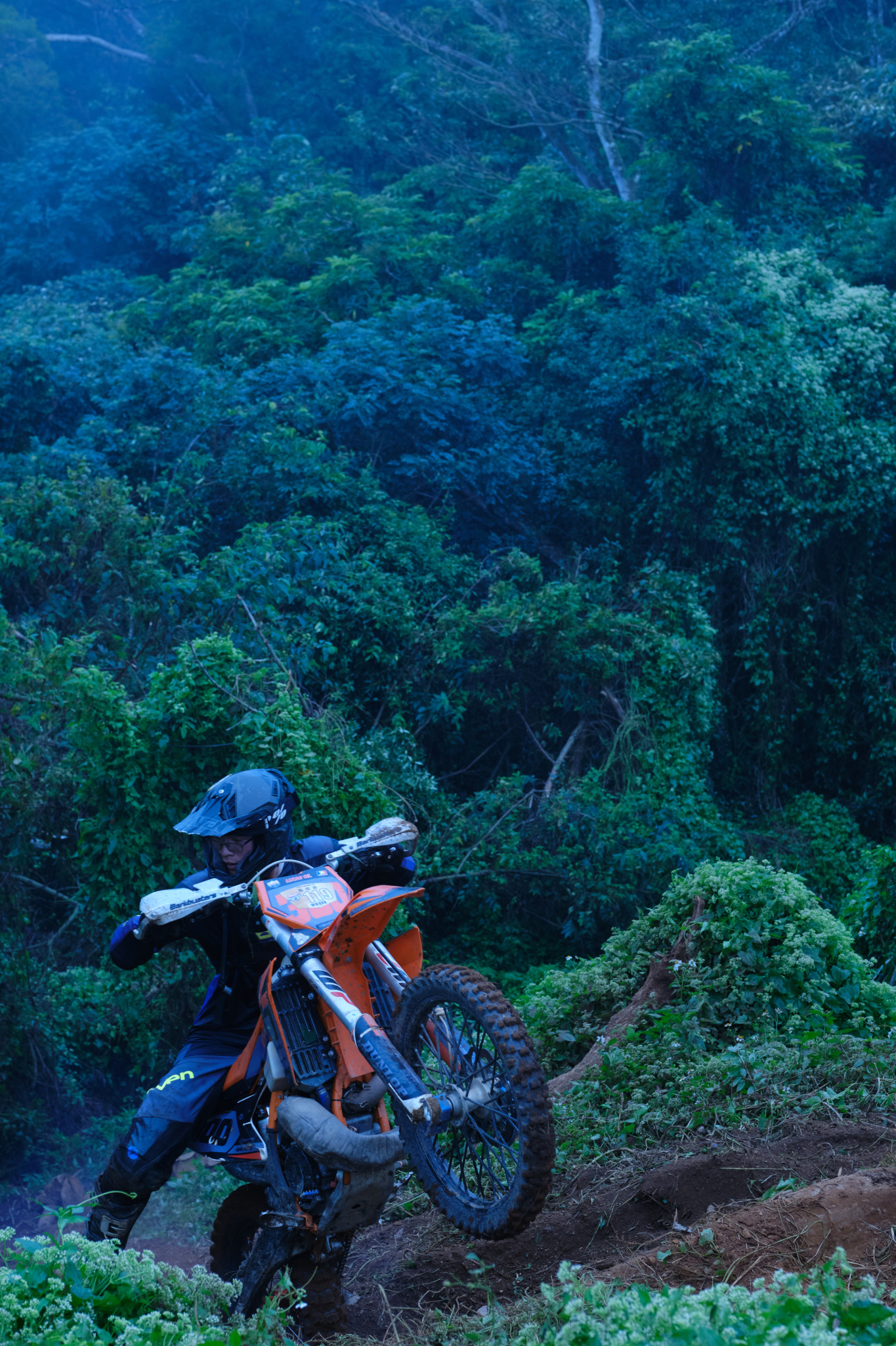 TORRA 三義 比賽 2024.11