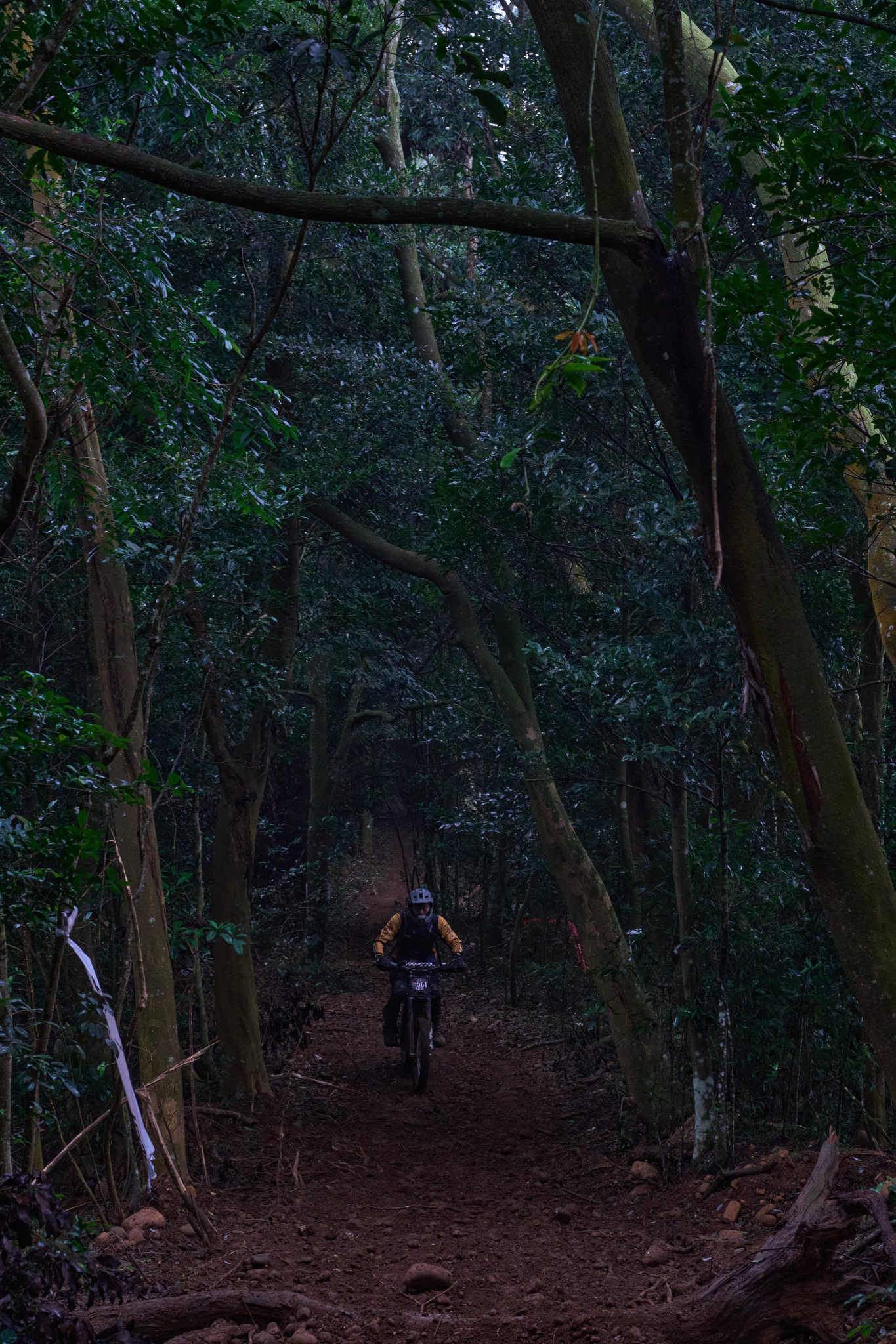 TORRA 三義 比賽 2024.11