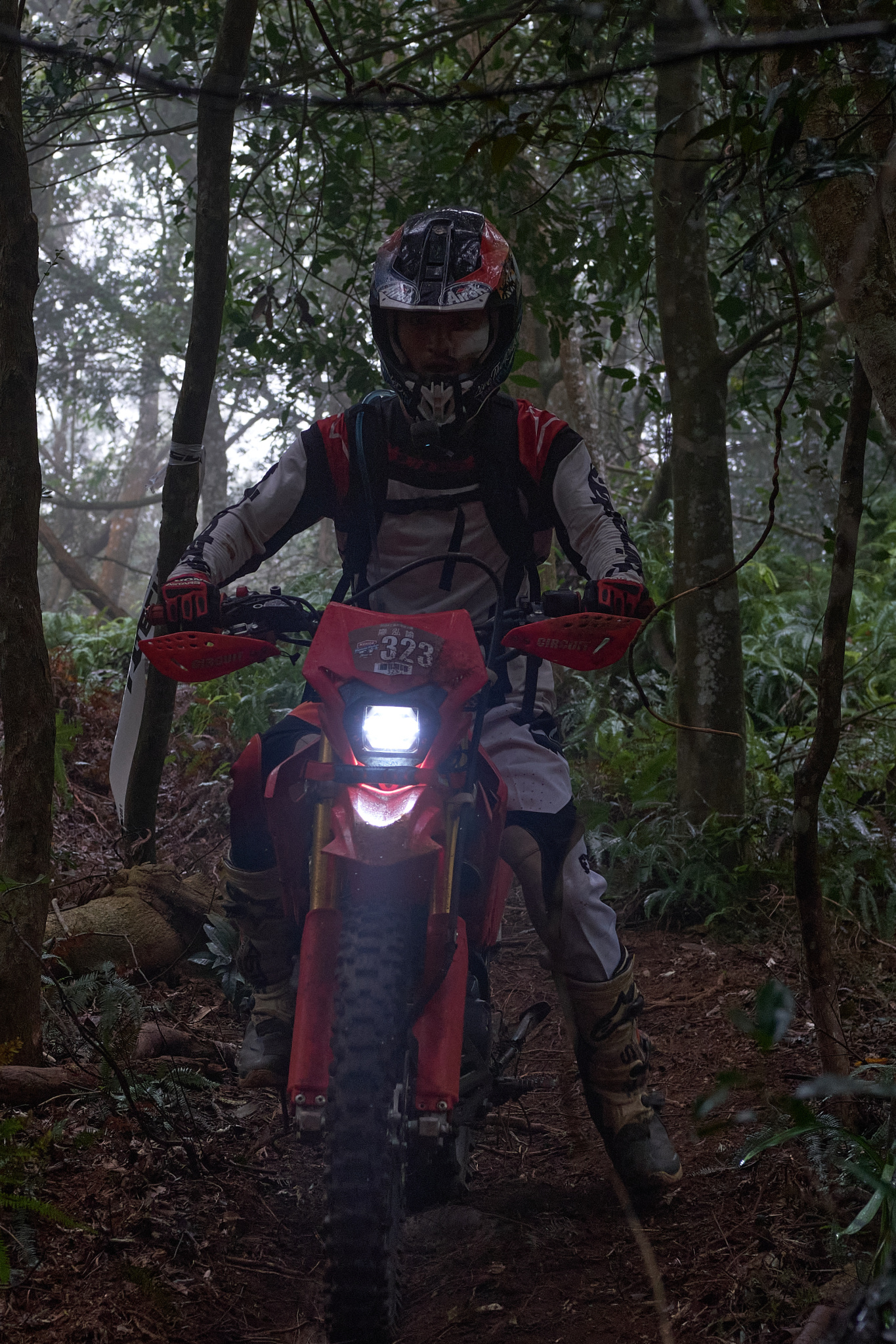 TORRA 三義 比賽 2024.11