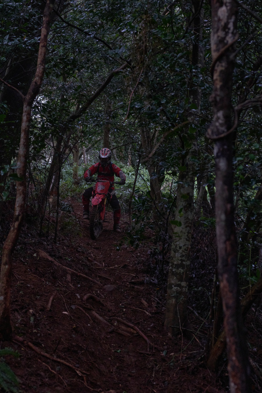 TORRA 三義 比賽 2024.11