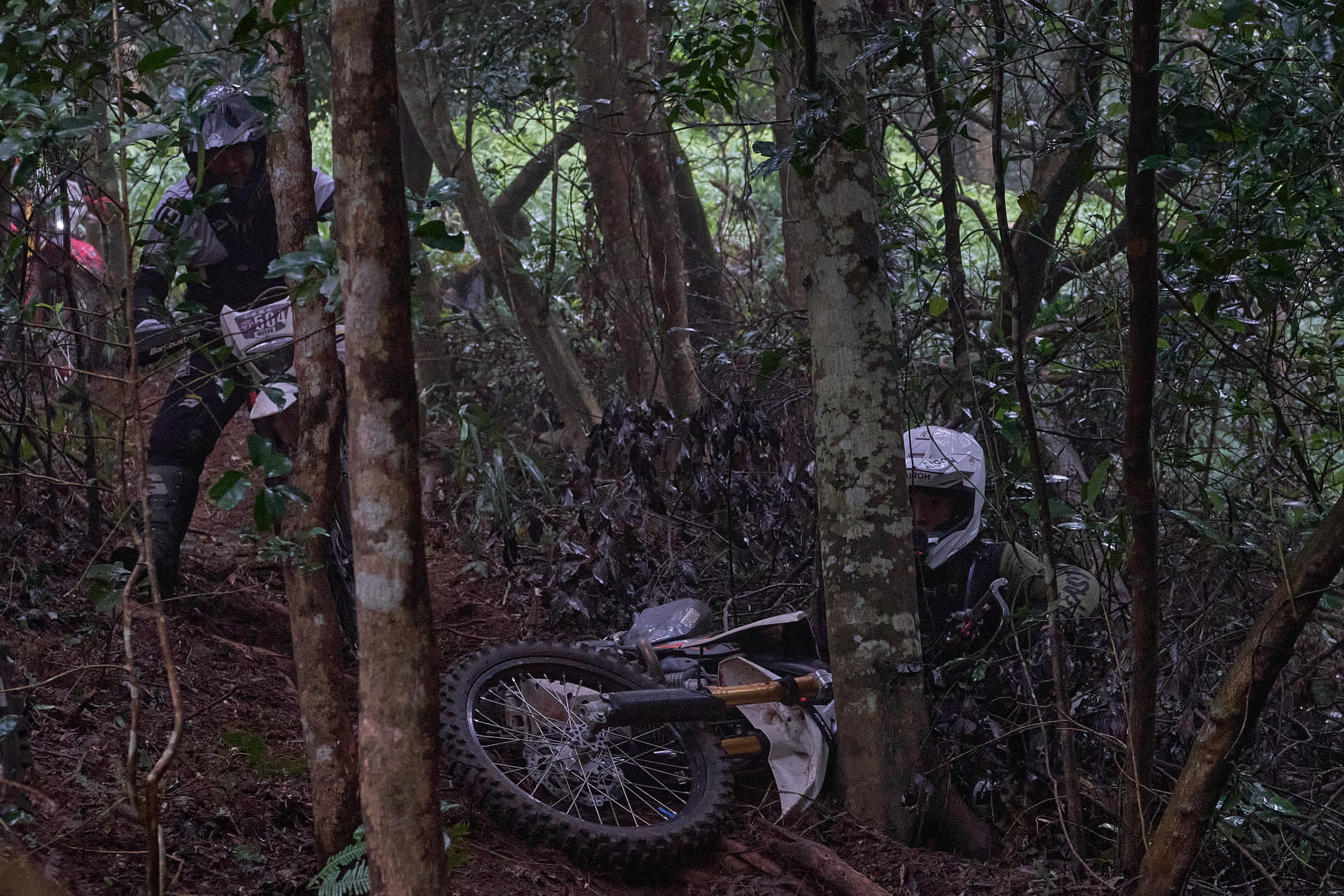 TORRA 三義 比賽 2024.11