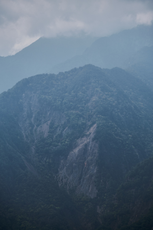 丹大林道 // Danda Forest Road