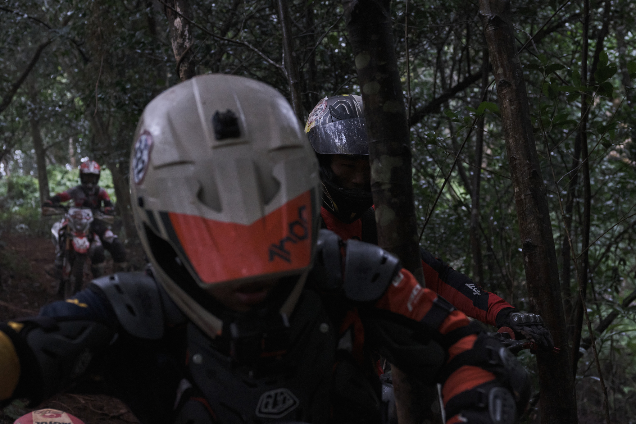 TORRA 三義 比賽 2024.11