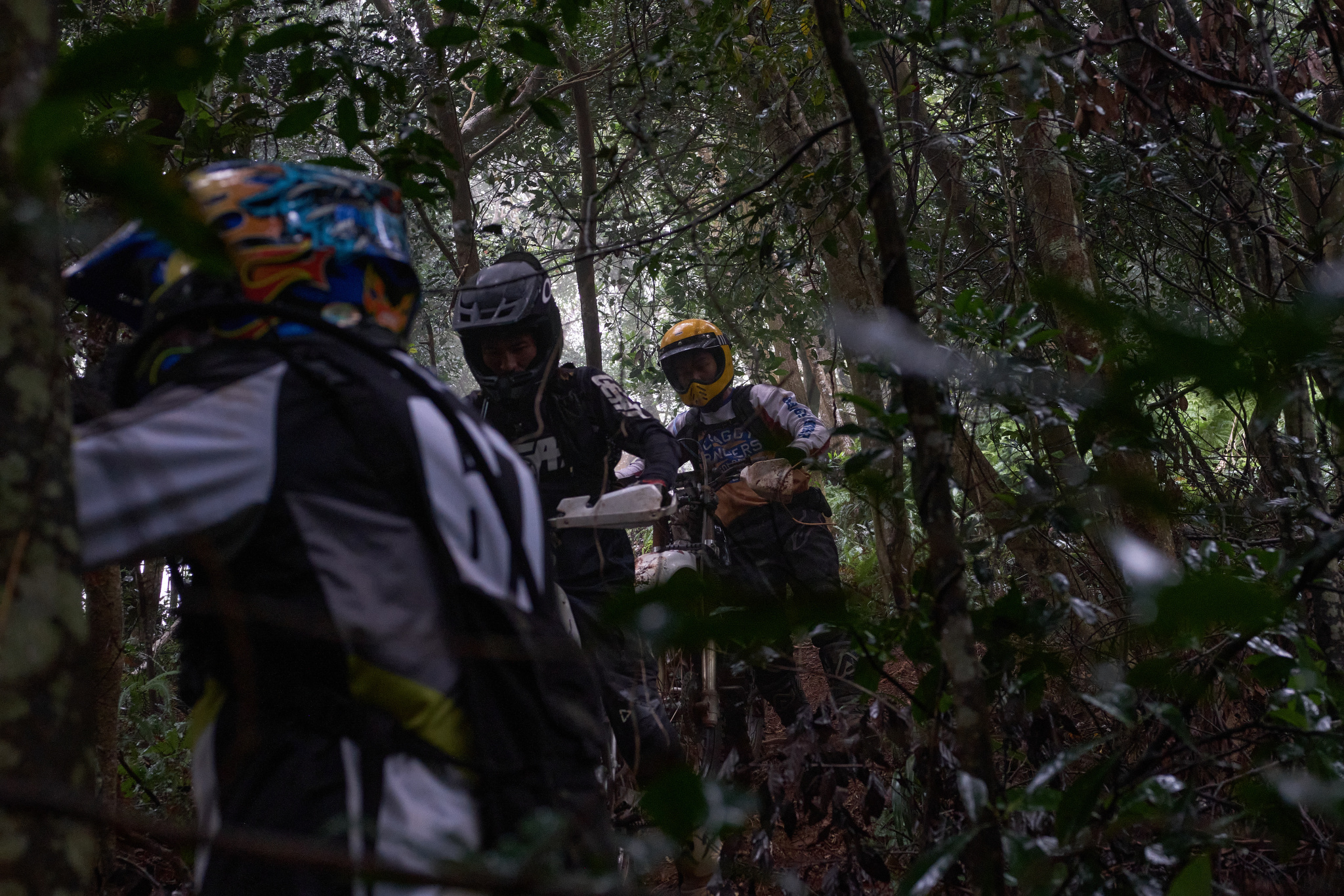 TORRA 三義 比賽 2024.11