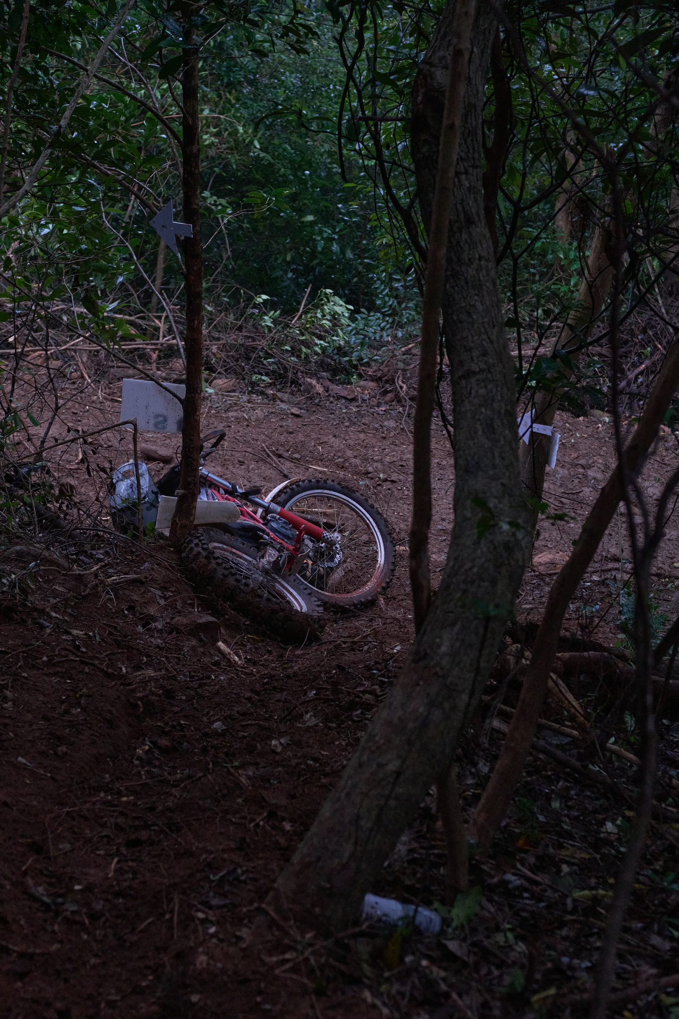 TORRA 三義 比賽 2024.11