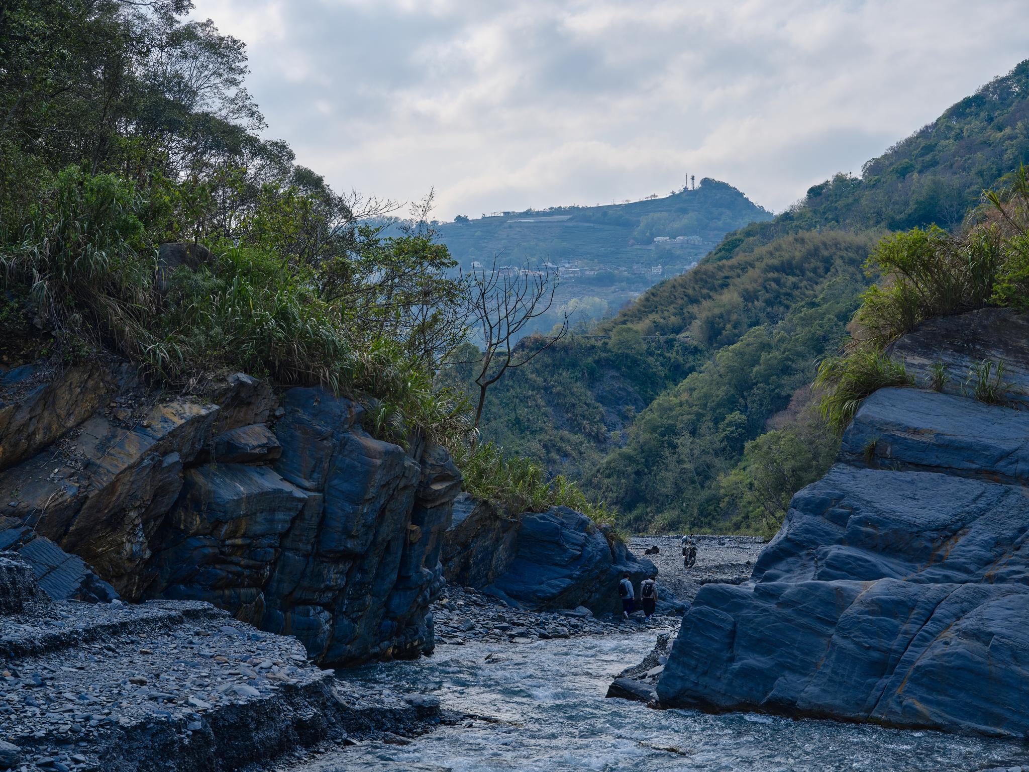 廬山野溪 // Lushan Creek