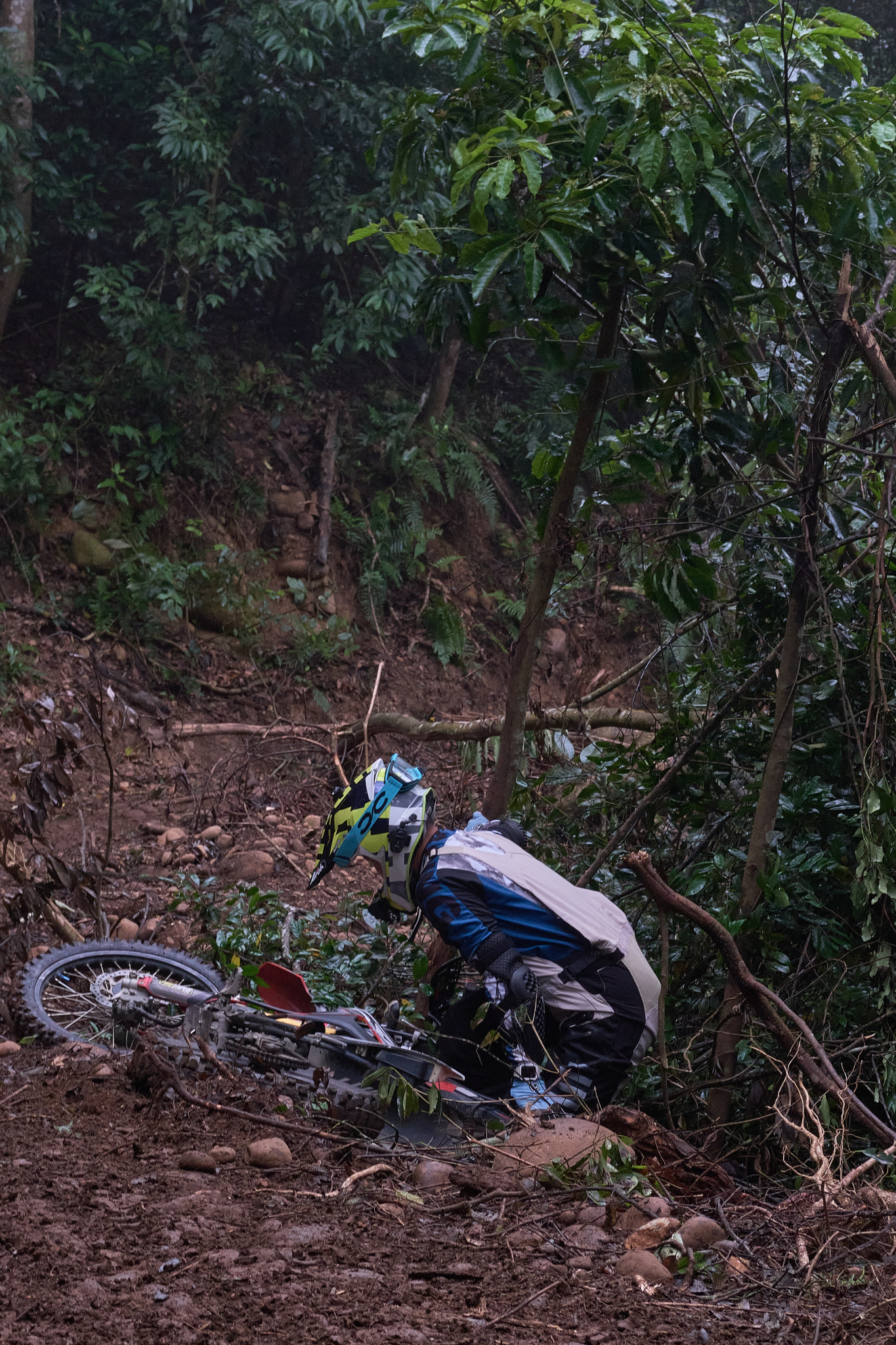 TORRA 三義 比賽 2024.11