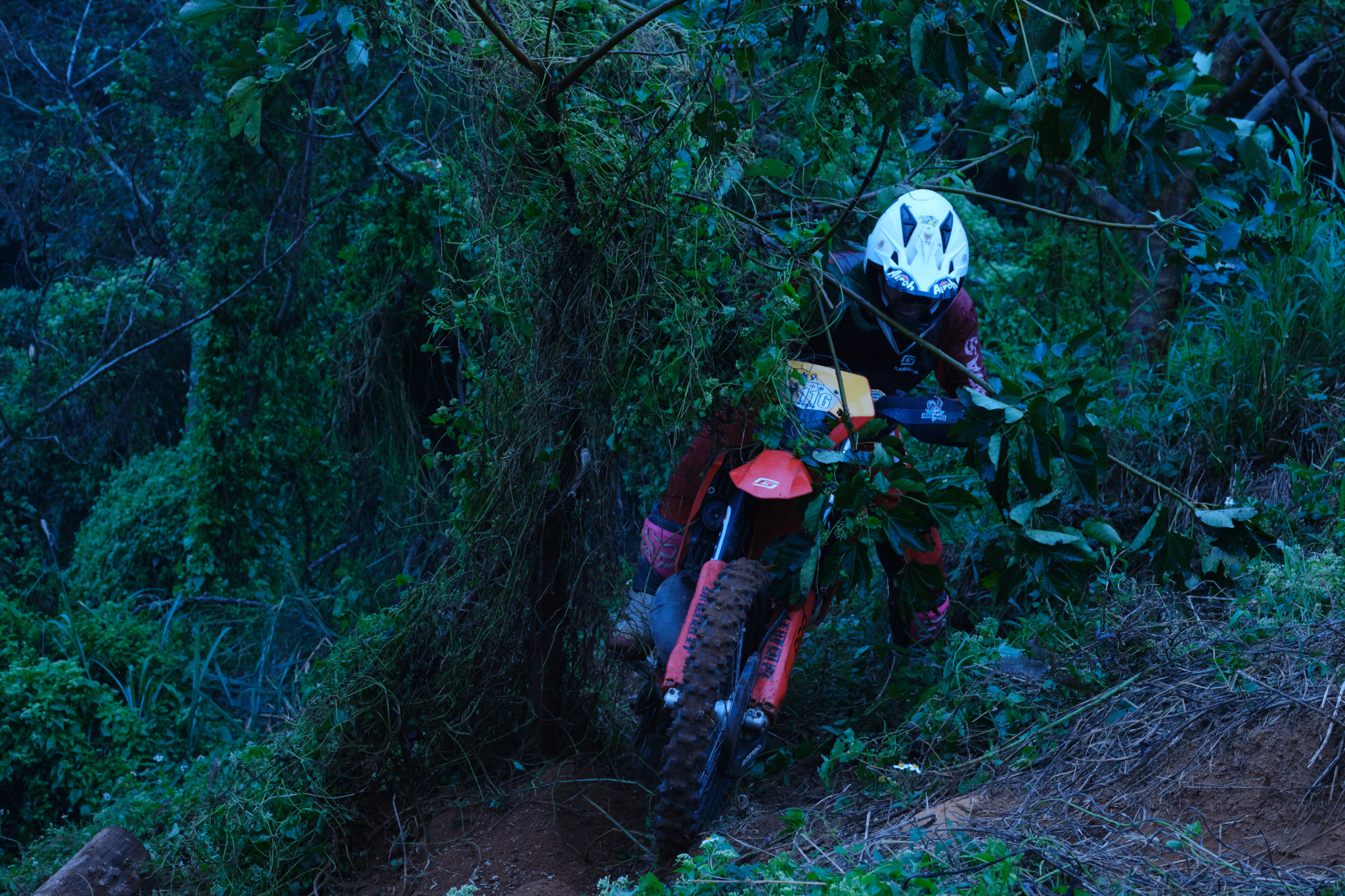 TORRA 三義 比賽 2024.11