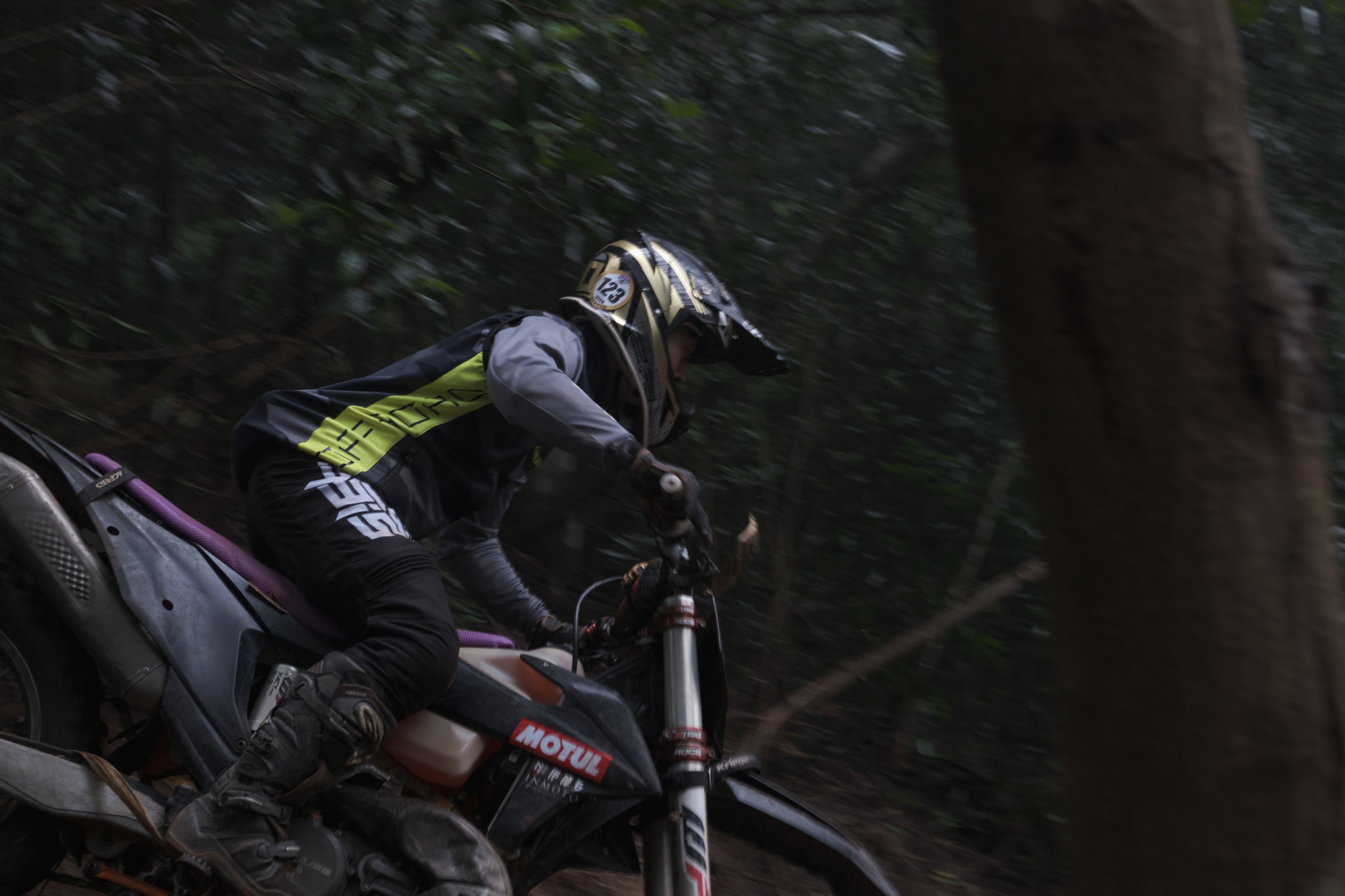 TORRA 三義 比賽 2024.11