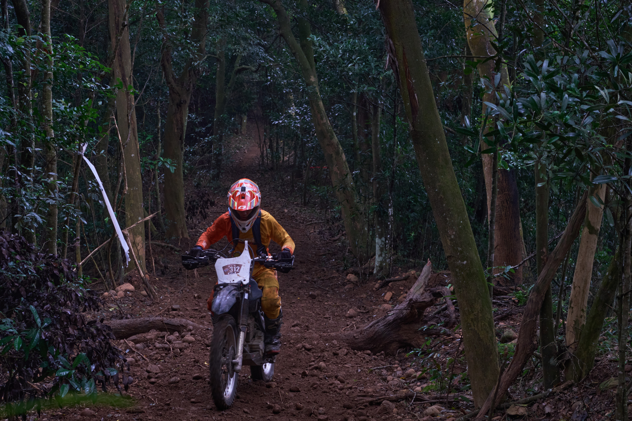 TORRA 三義 比賽 2024.11