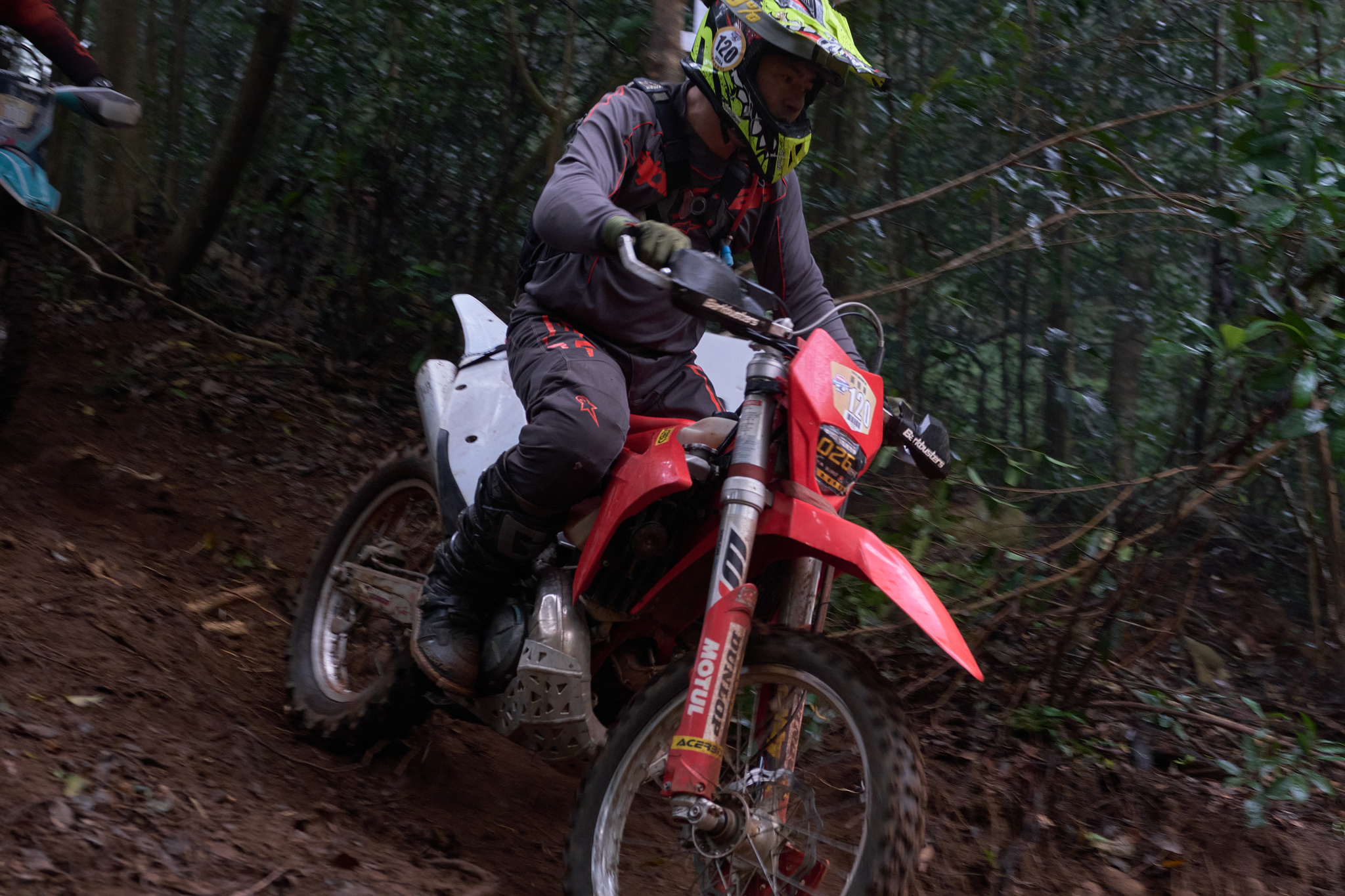 TORRA 三義 比賽 2024.11