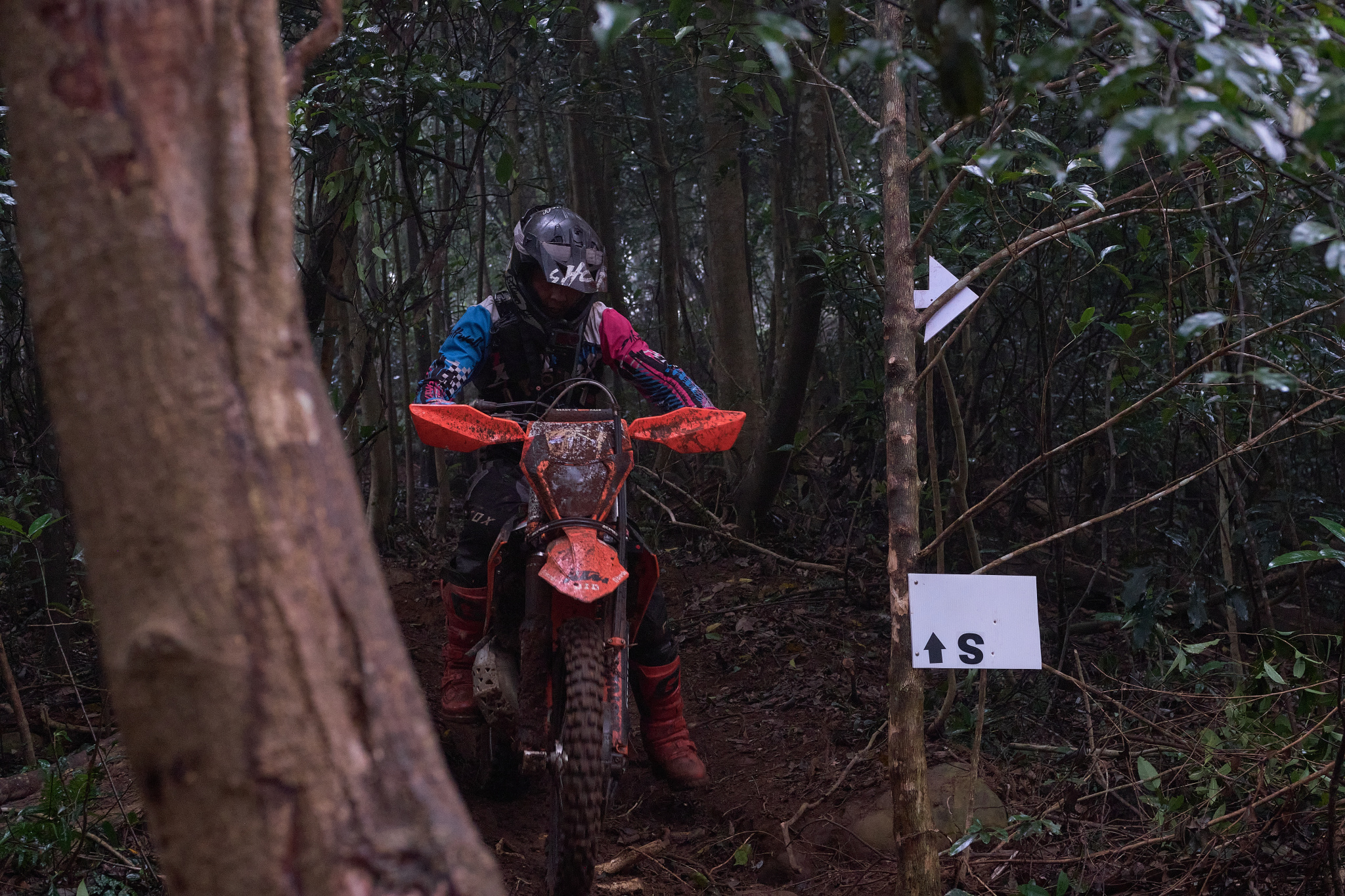 TORRA 三義 比賽 2024.11