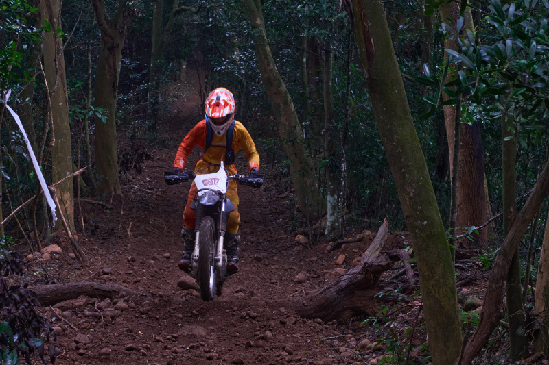 TORRA 三義 比賽 2024.11