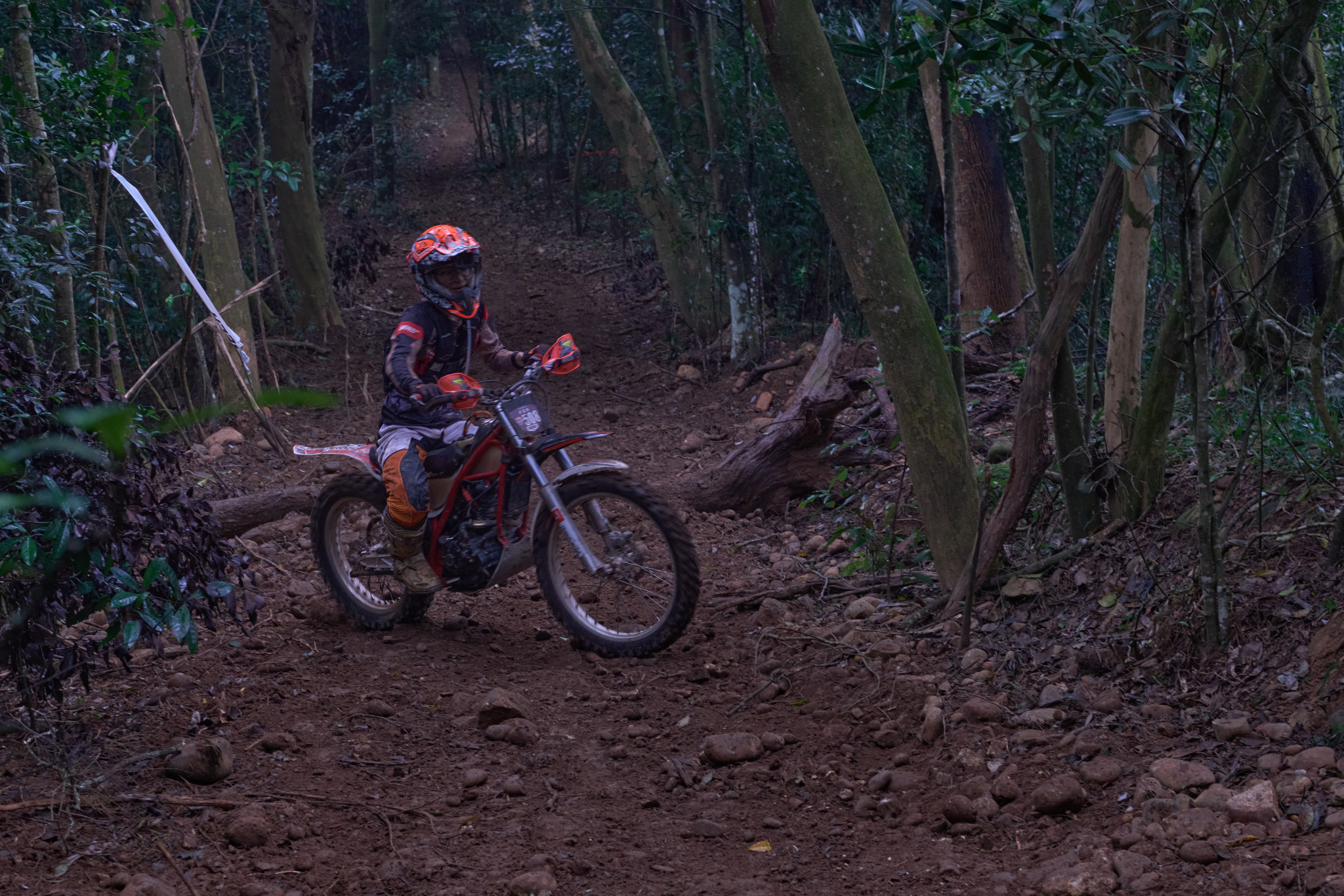 TORRA 三義 比賽 2024.11