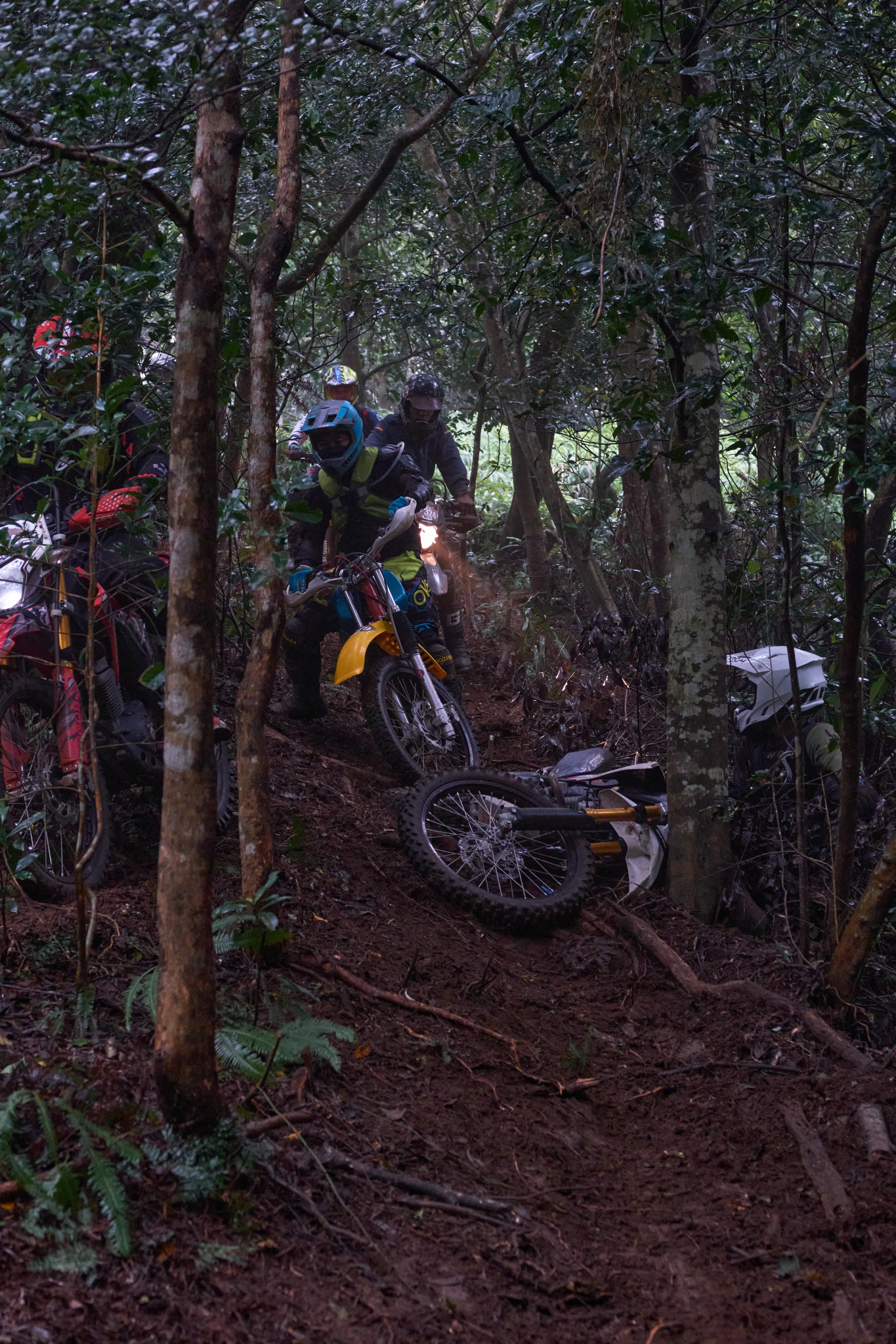 TORRA 三義 比賽 2024.11