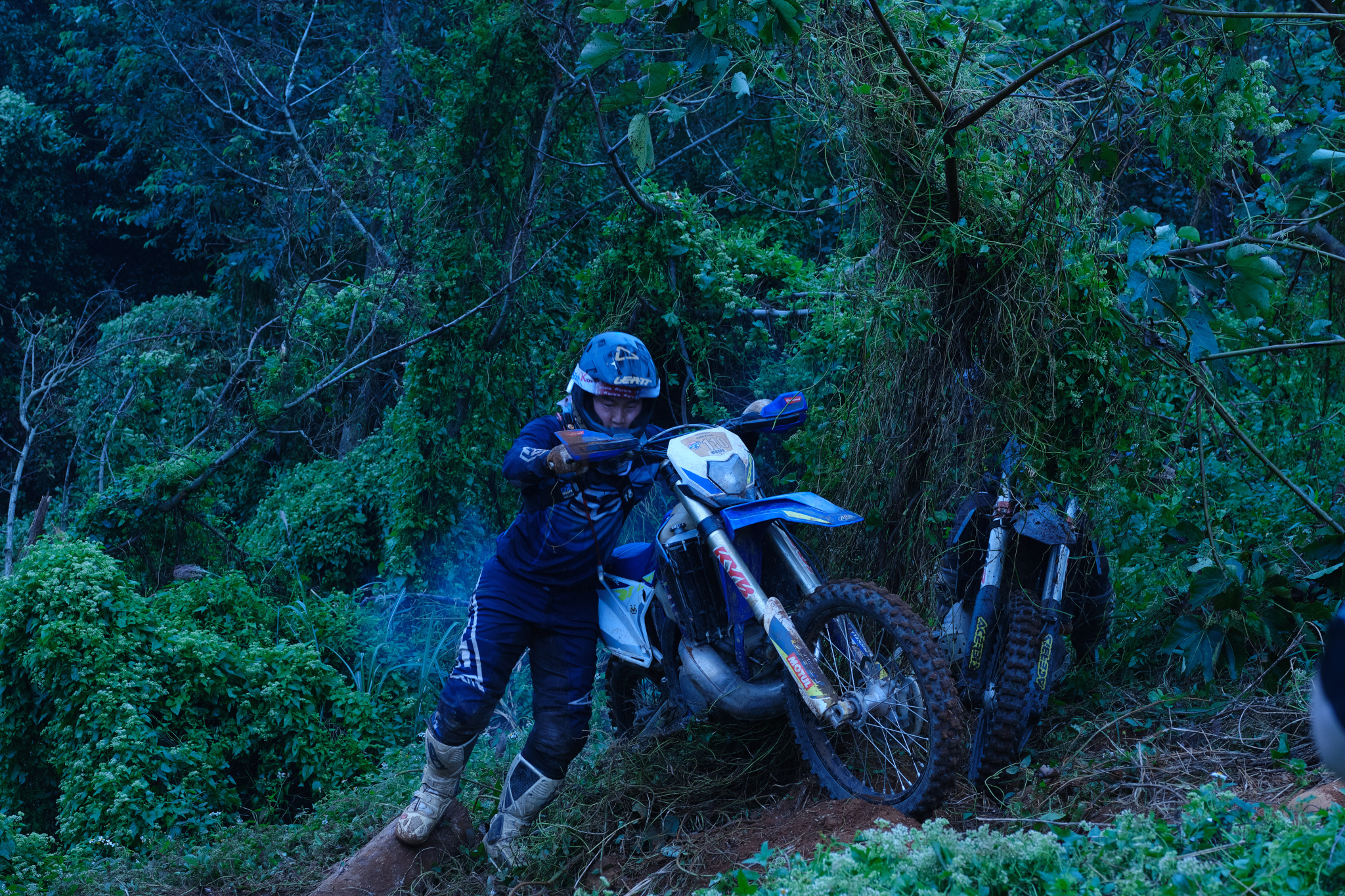 TORRA 三義 比賽 2024.11