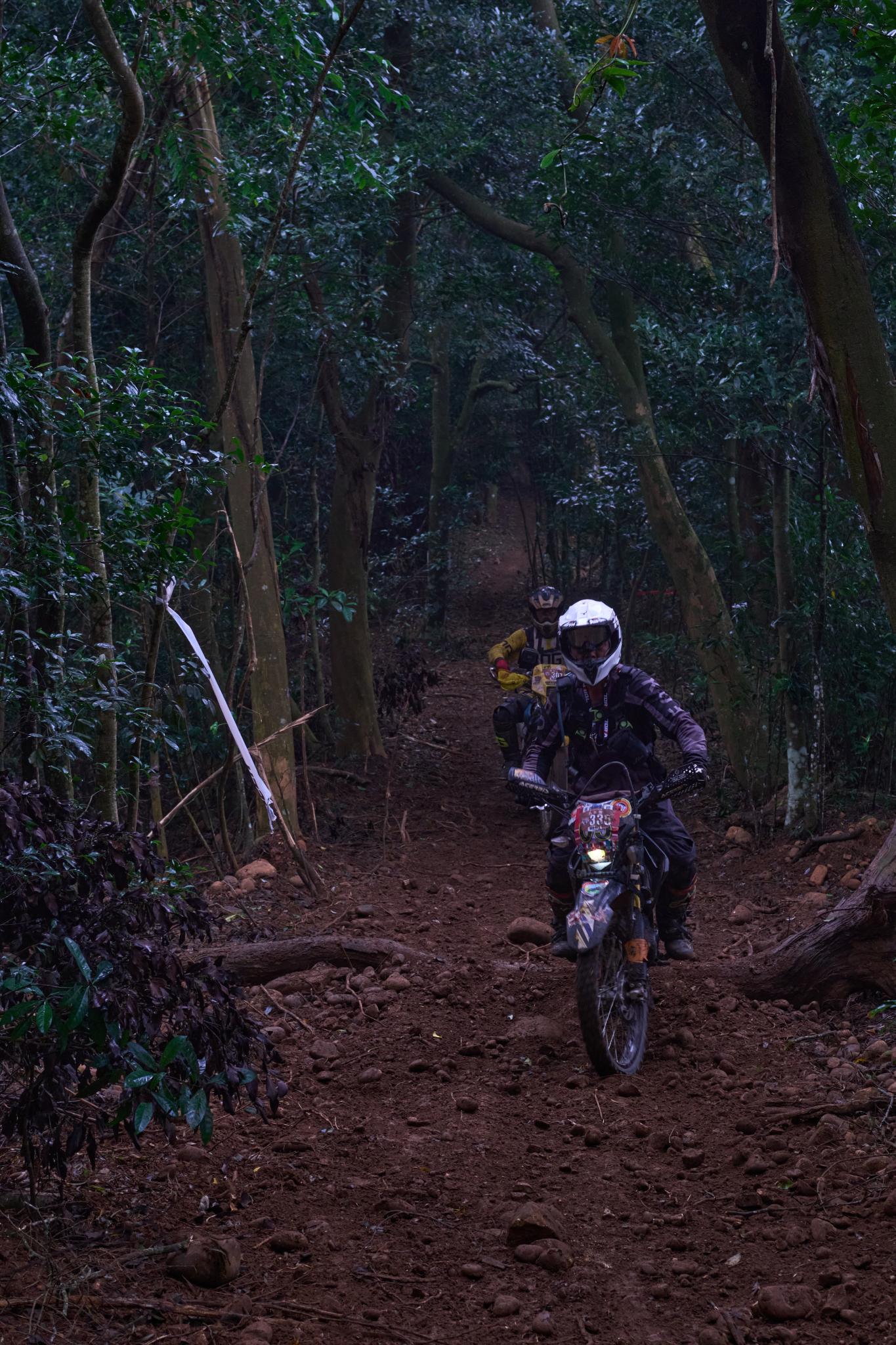 TORRA 三義 比賽 2024.11