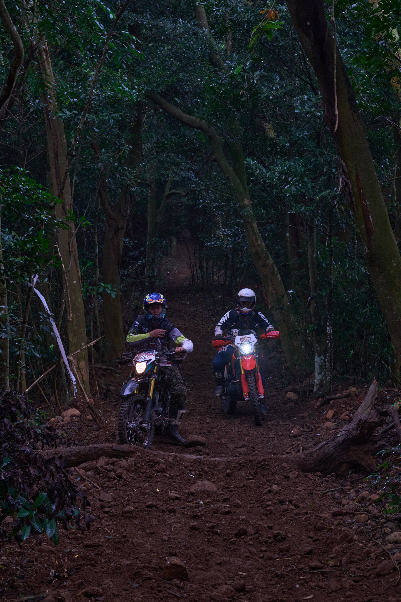 TORRA 三義 比賽 2024.11