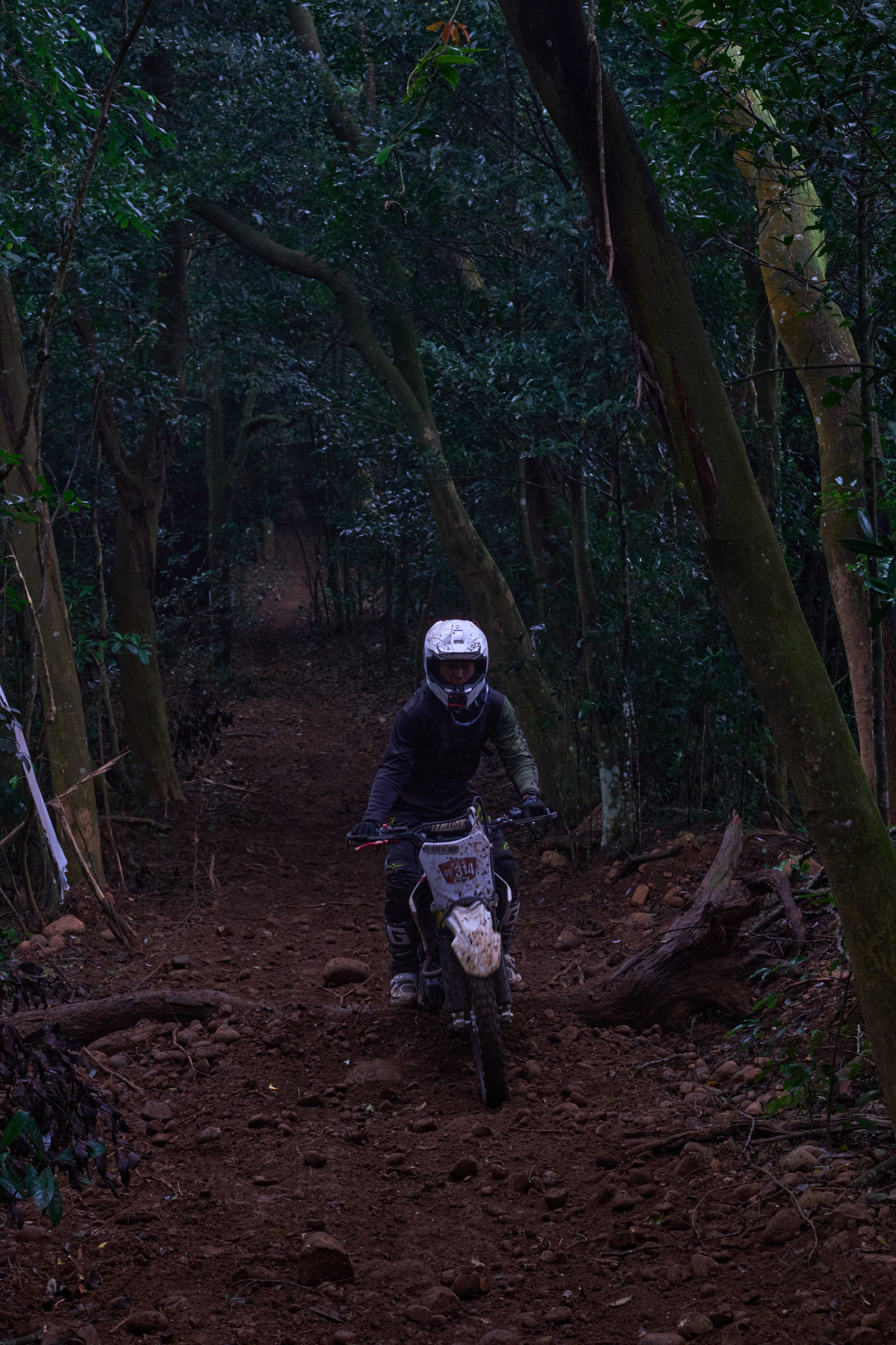 TORRA 三義 比賽 2024.11