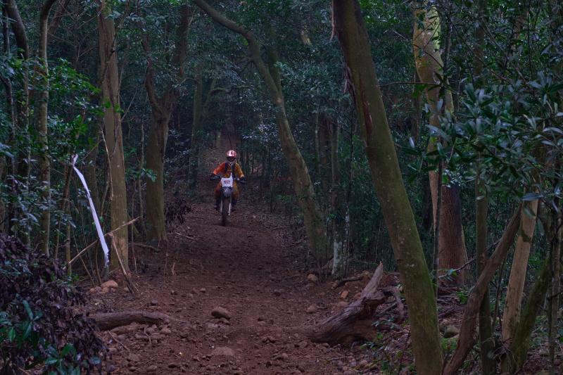 TORRA 三義 比賽 2024.11