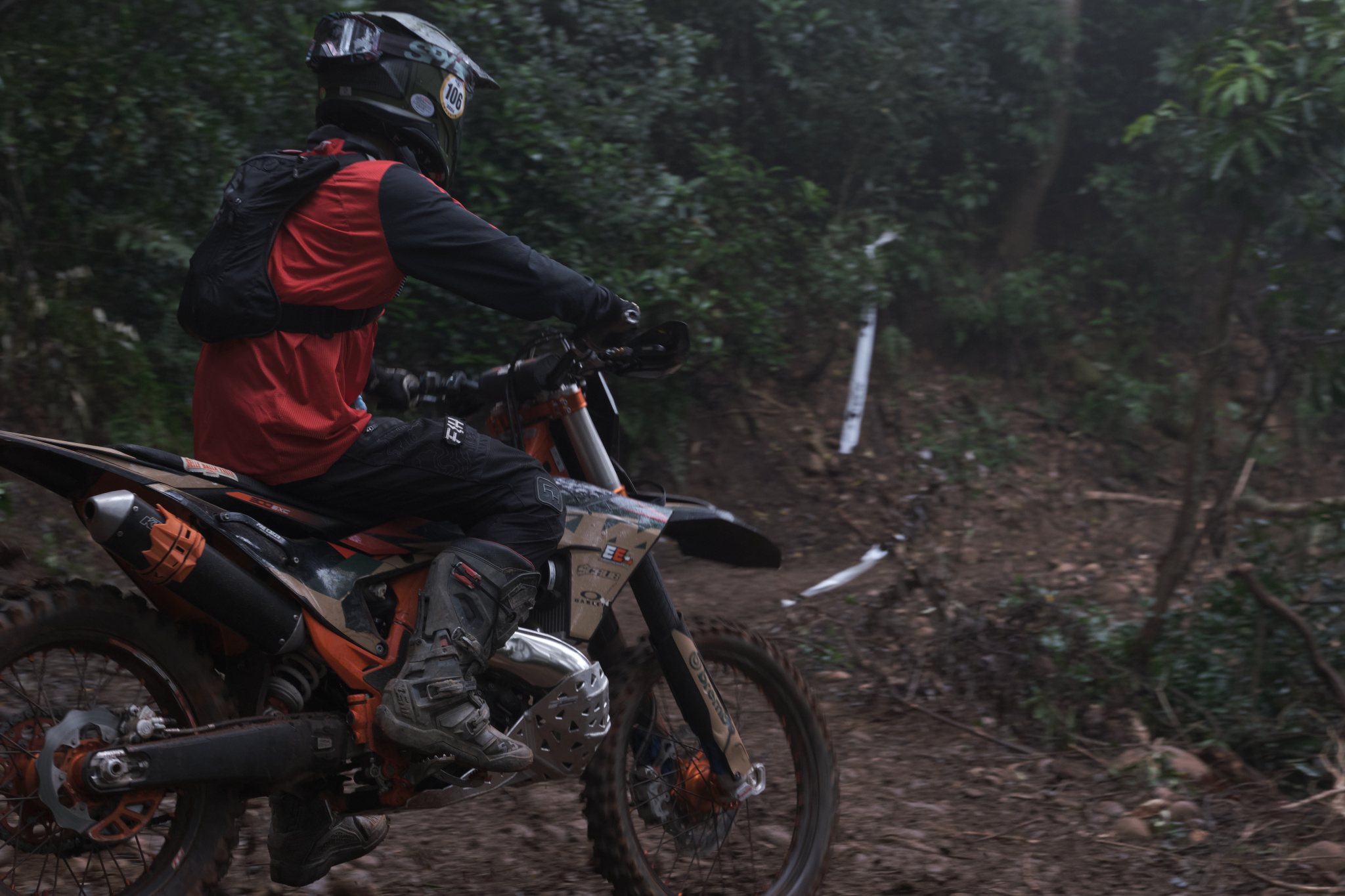 TORRA 三義 比賽 2024.11