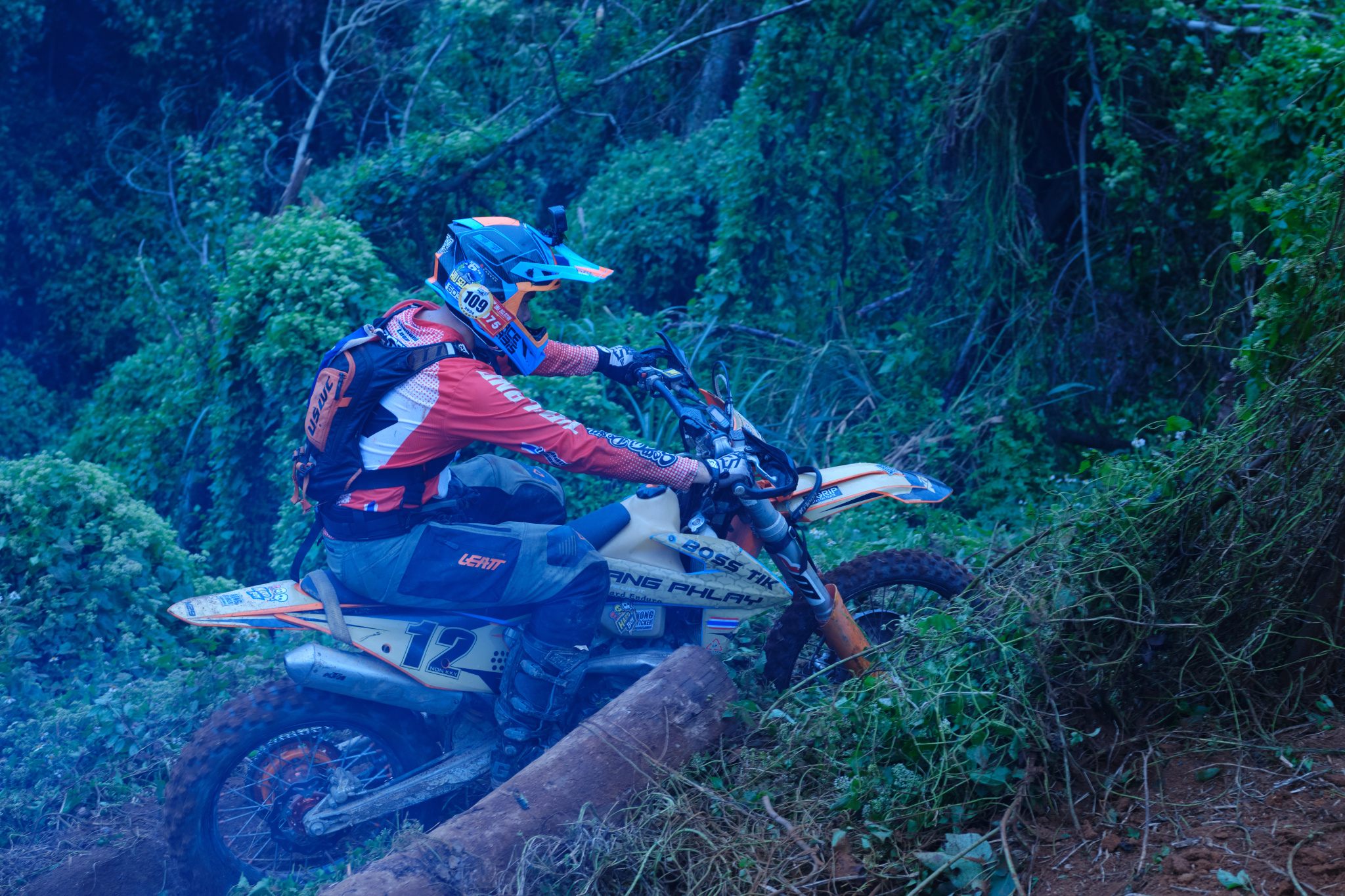 TORRA 三義 比賽 2024.11