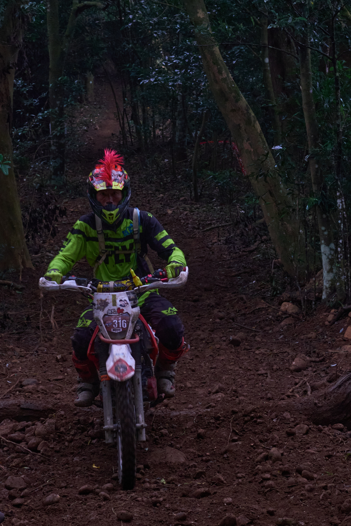 TORRA 三義 比賽 2024.11