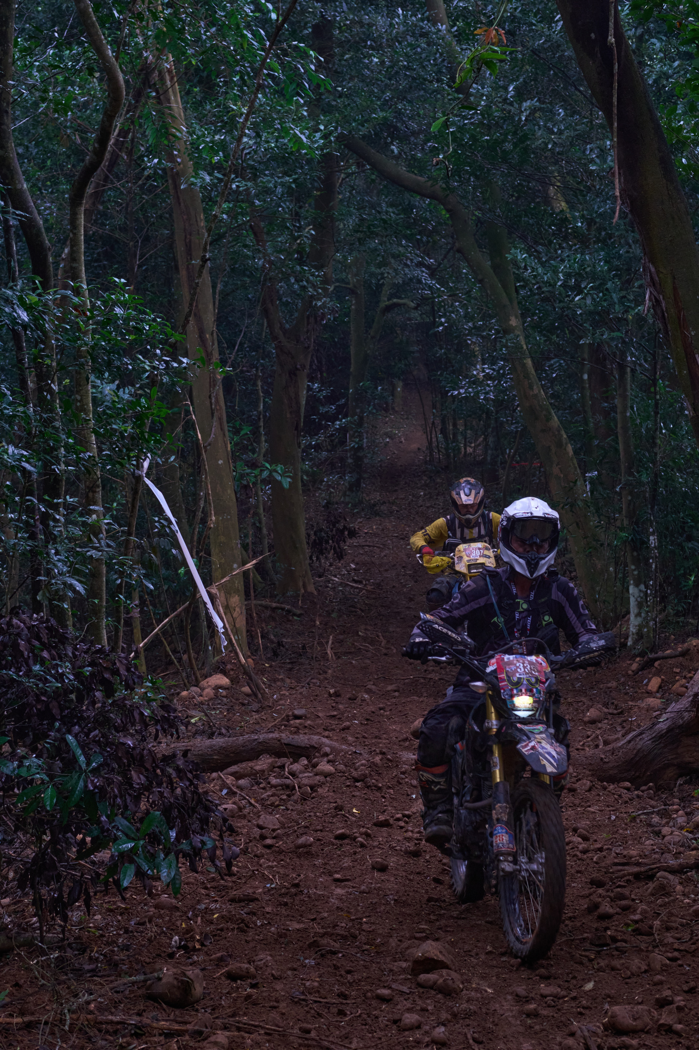 TORRA 三義 比賽 2024.11