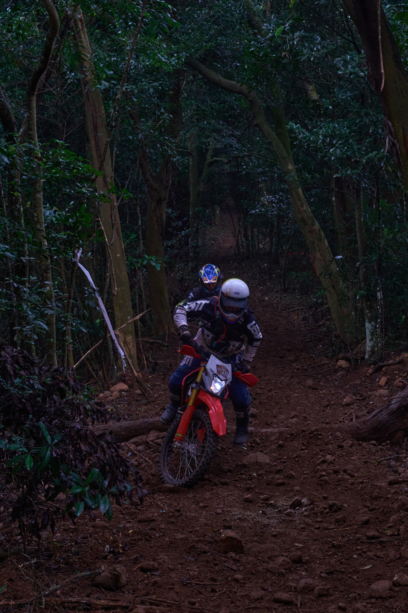 TORRA 三義 比賽 2024.11