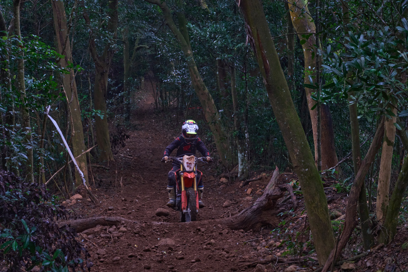 TORRA 三義 比賽 2024.11