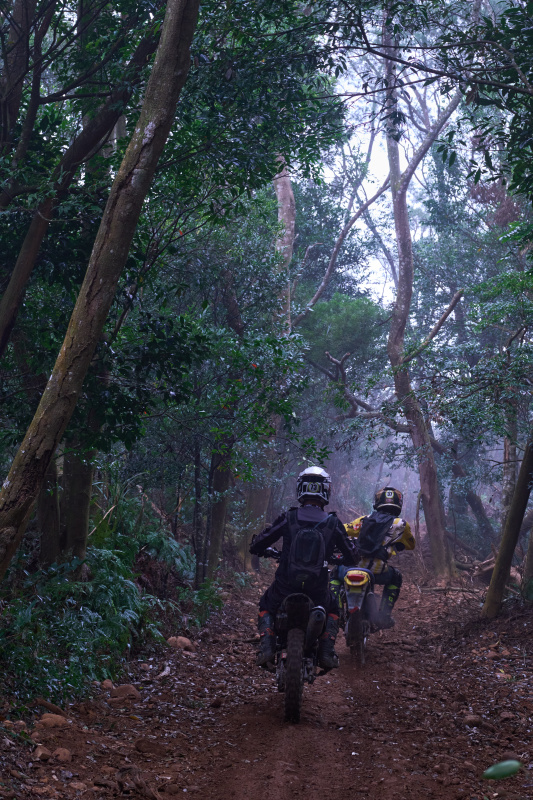 TORRA 三義 比賽 2024.11