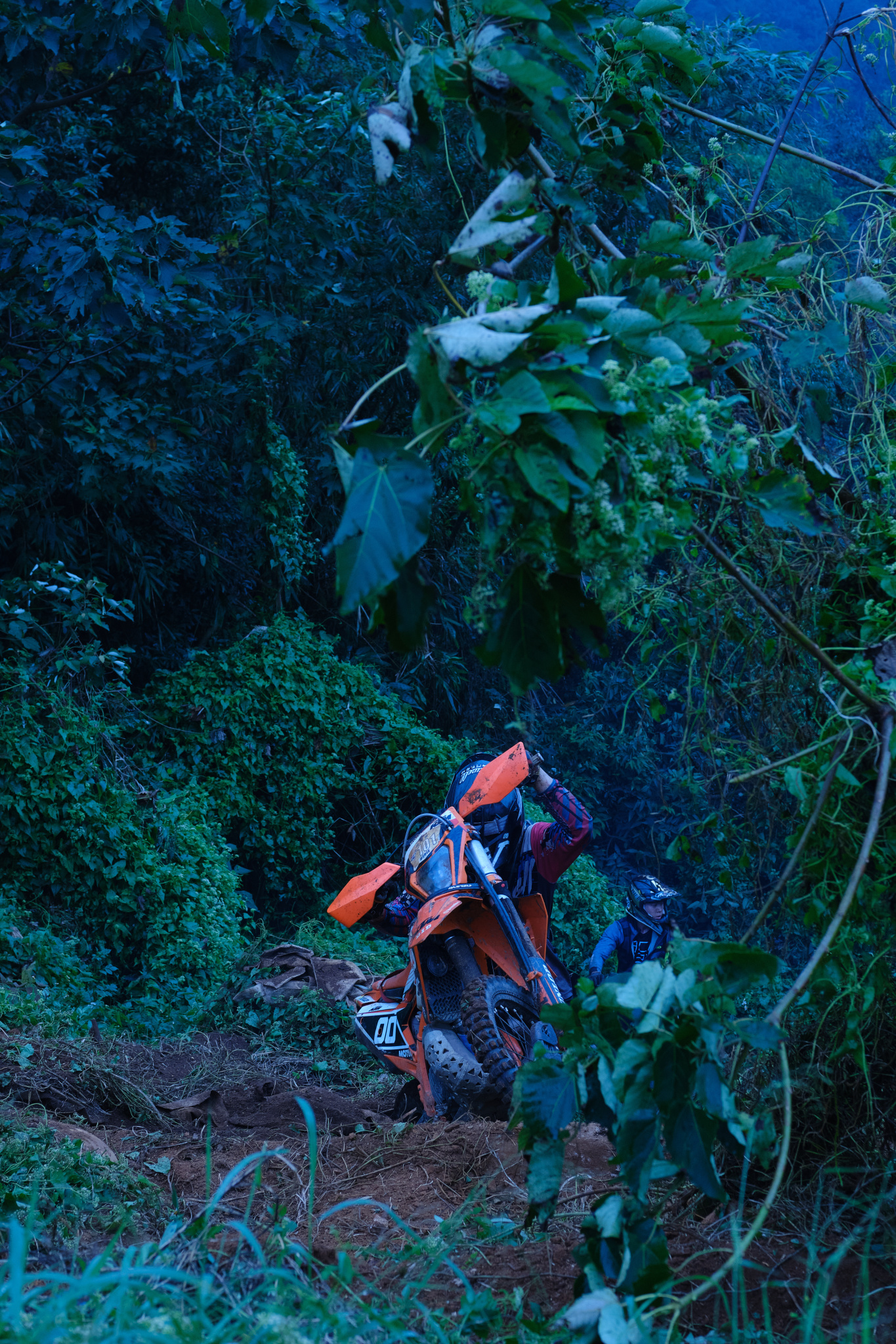 TORRA 三義 比賽 2024.11