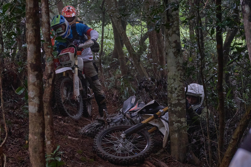 TORRA 三義 比賽 2024.11