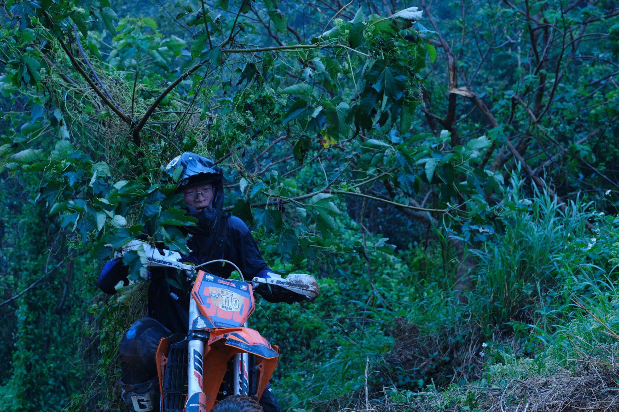 TORRA 三義 比賽 2024.11