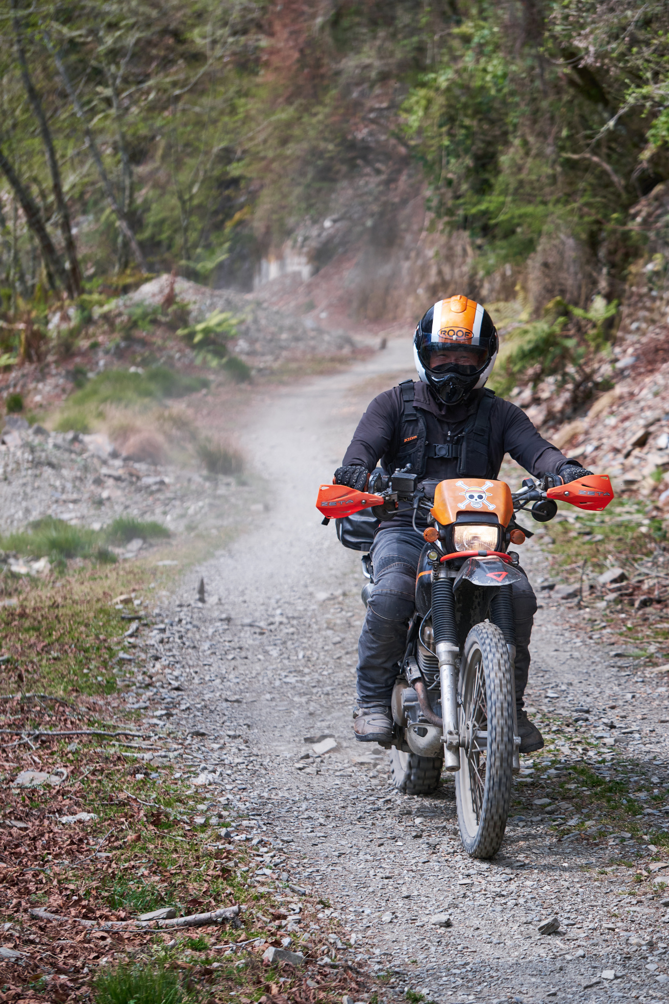 丹大林道 // Danda Forest Road