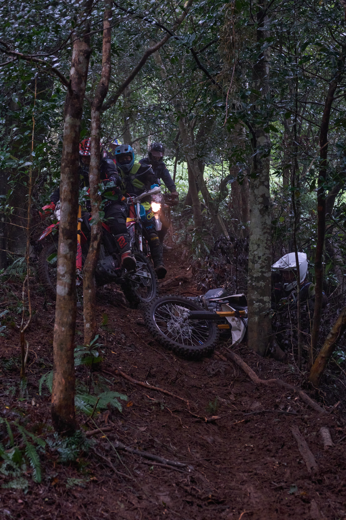 TORRA 三義 比賽 2024.11