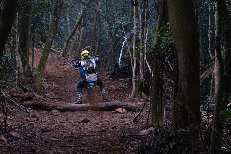 TORRA 三義 比賽 2024.11