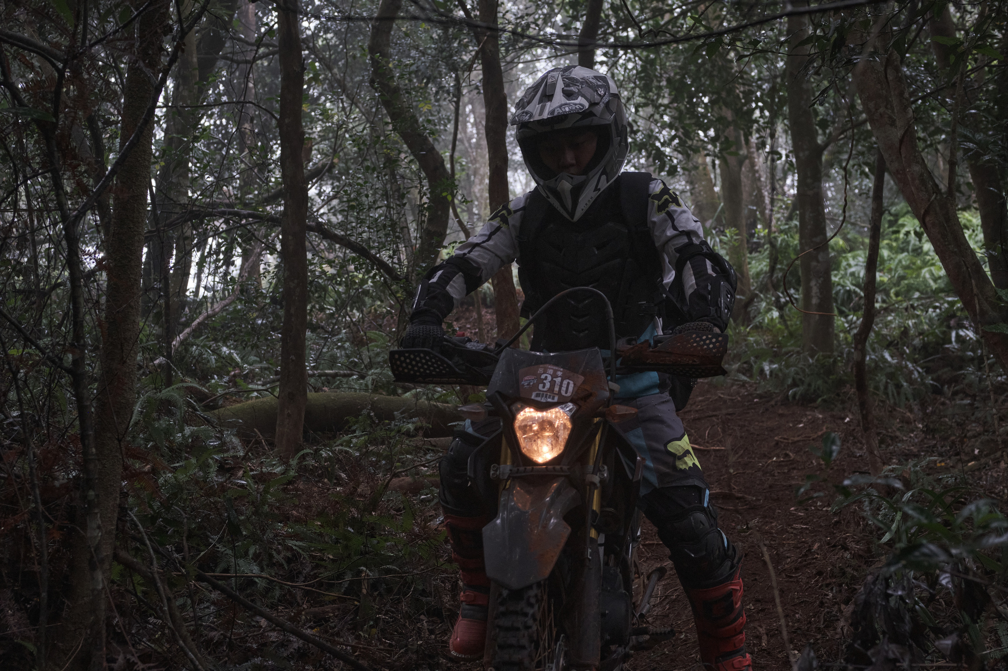 TORRA 三義 比賽 2024.11