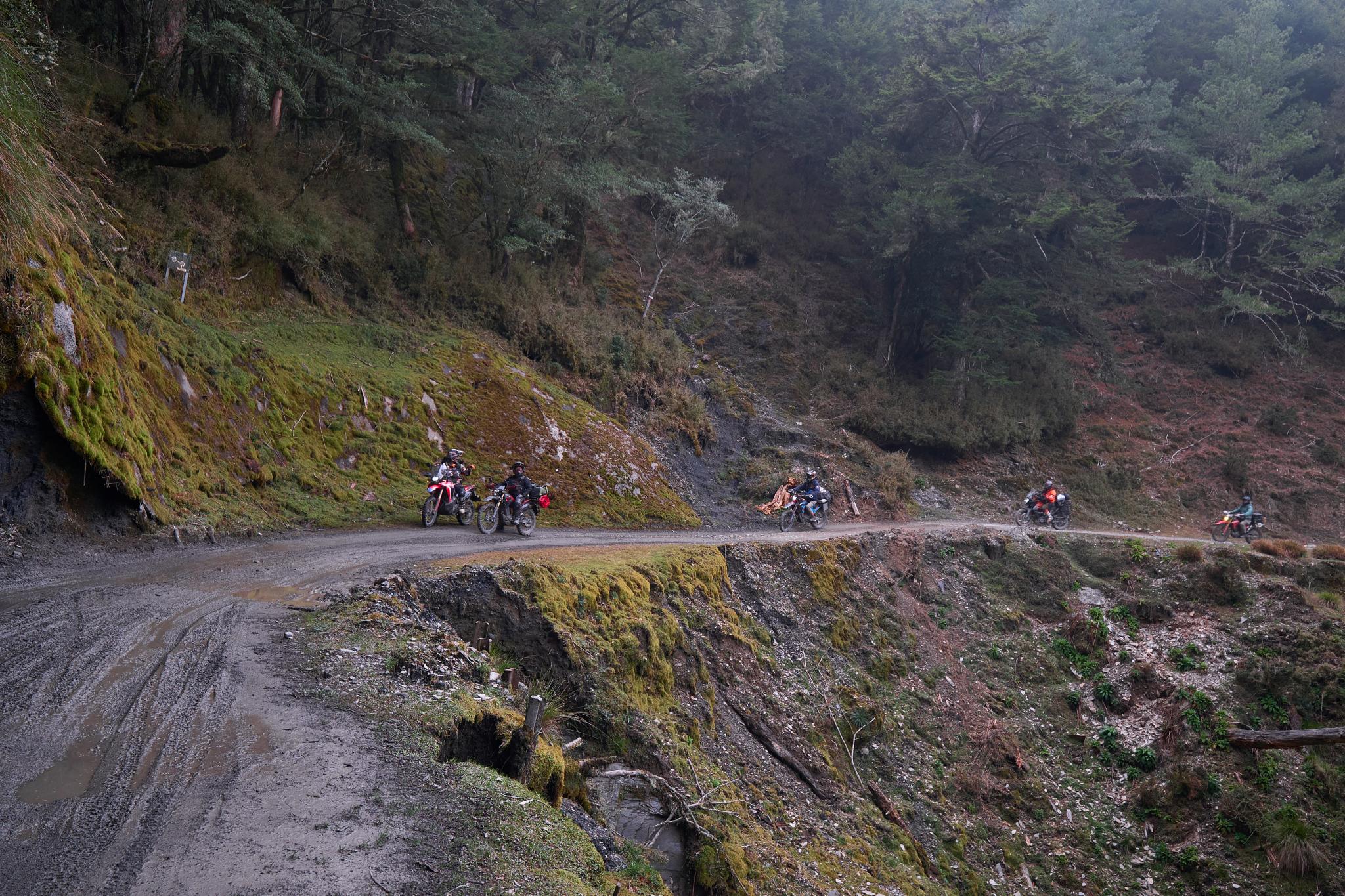 丹大林道  // Danda Forest Road