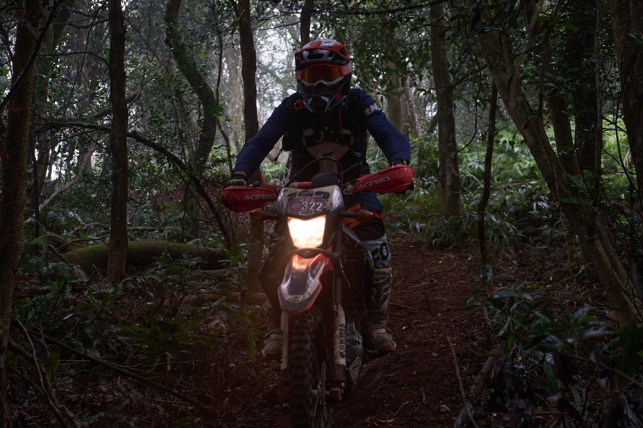 TORRA 三義 比賽 2024.11