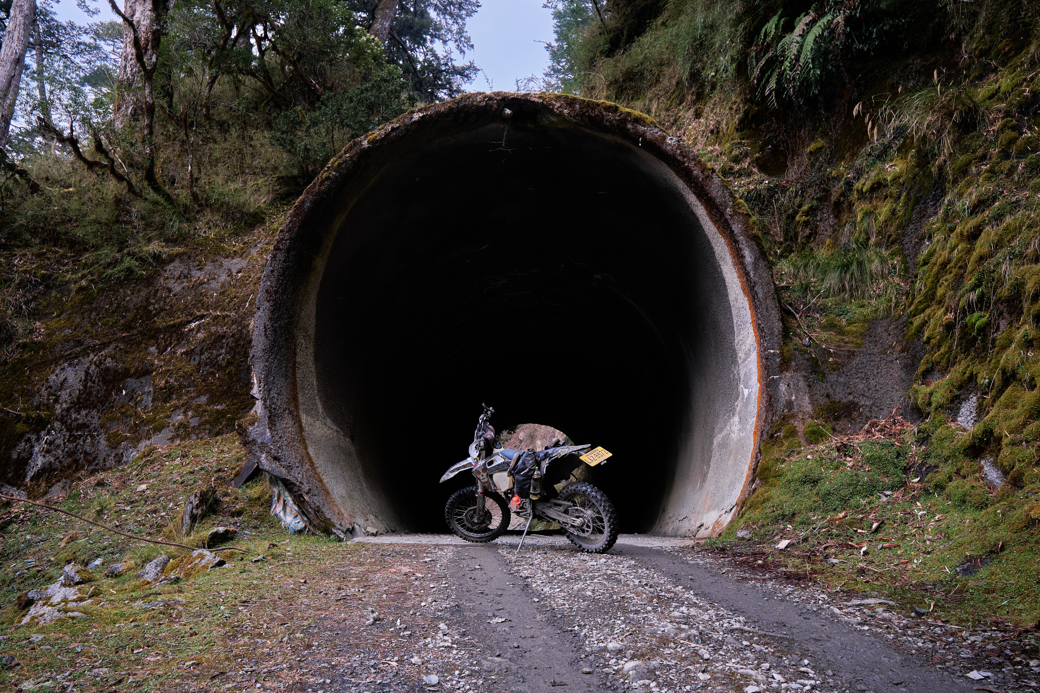 丹大林道 // Danda Forest Road